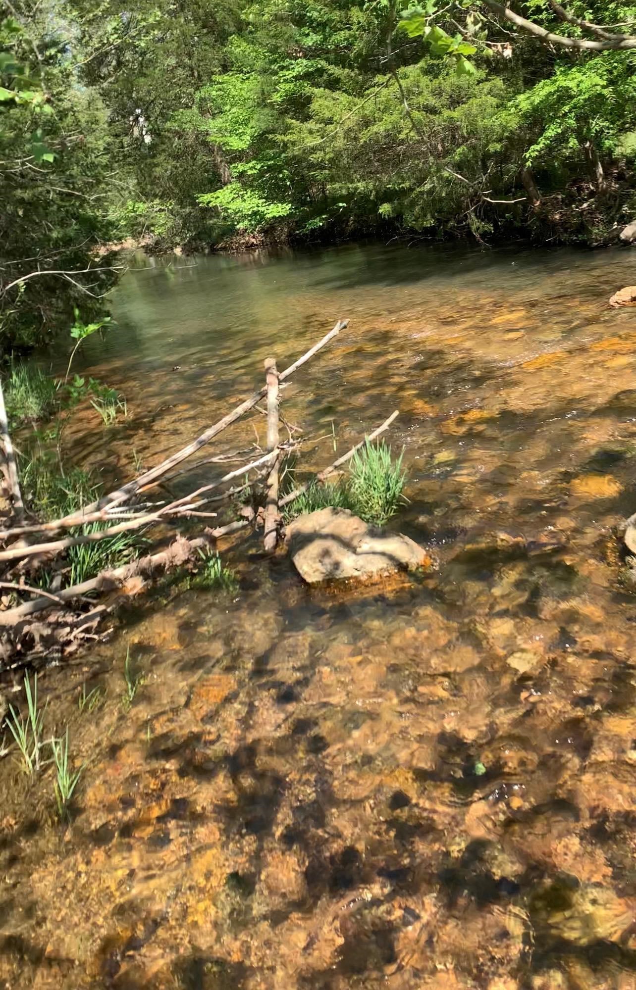 3013-3015 Possum Trot  Ash Flat, AR