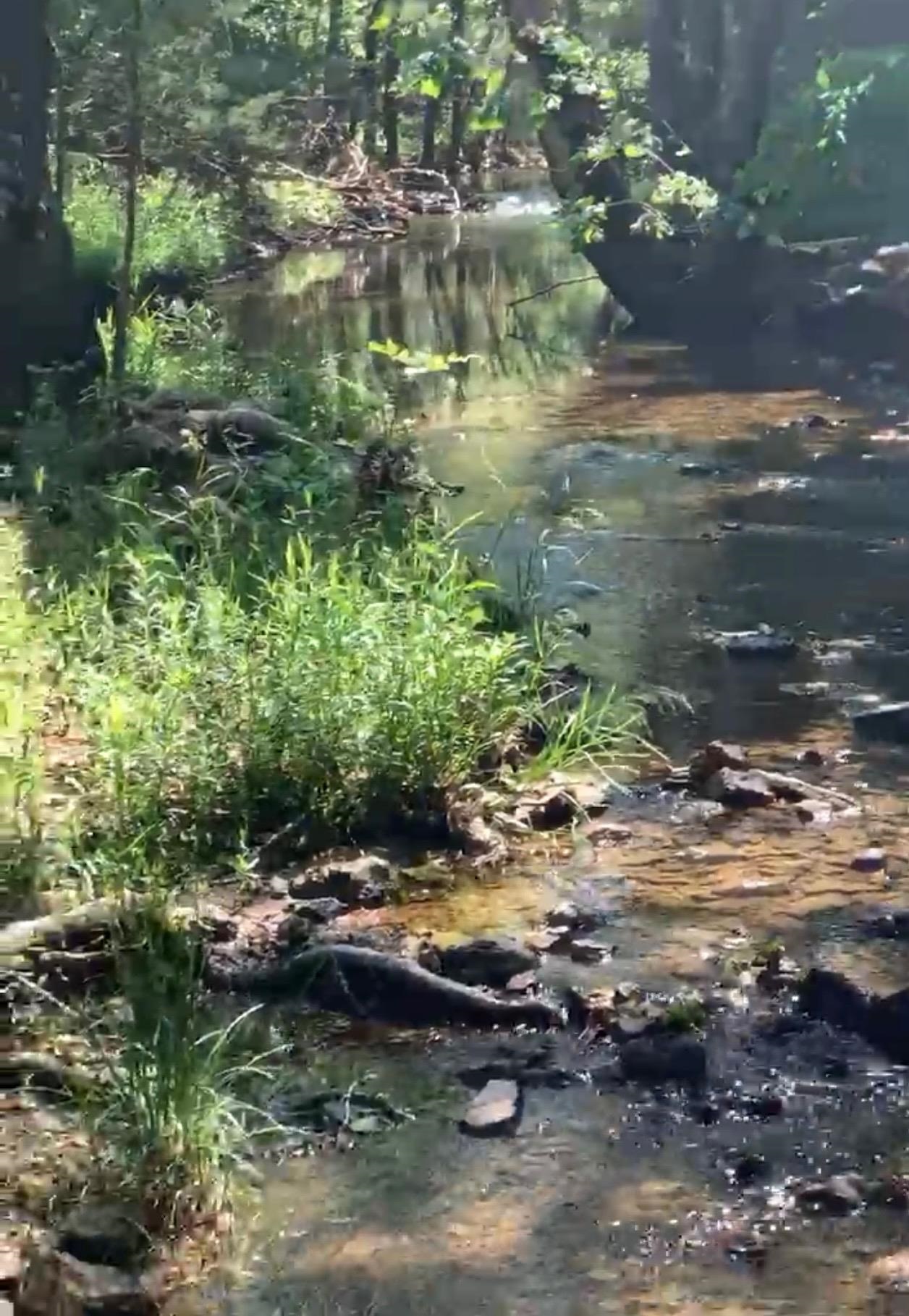 3013-3015 Possum Trot  Ash Flat, AR