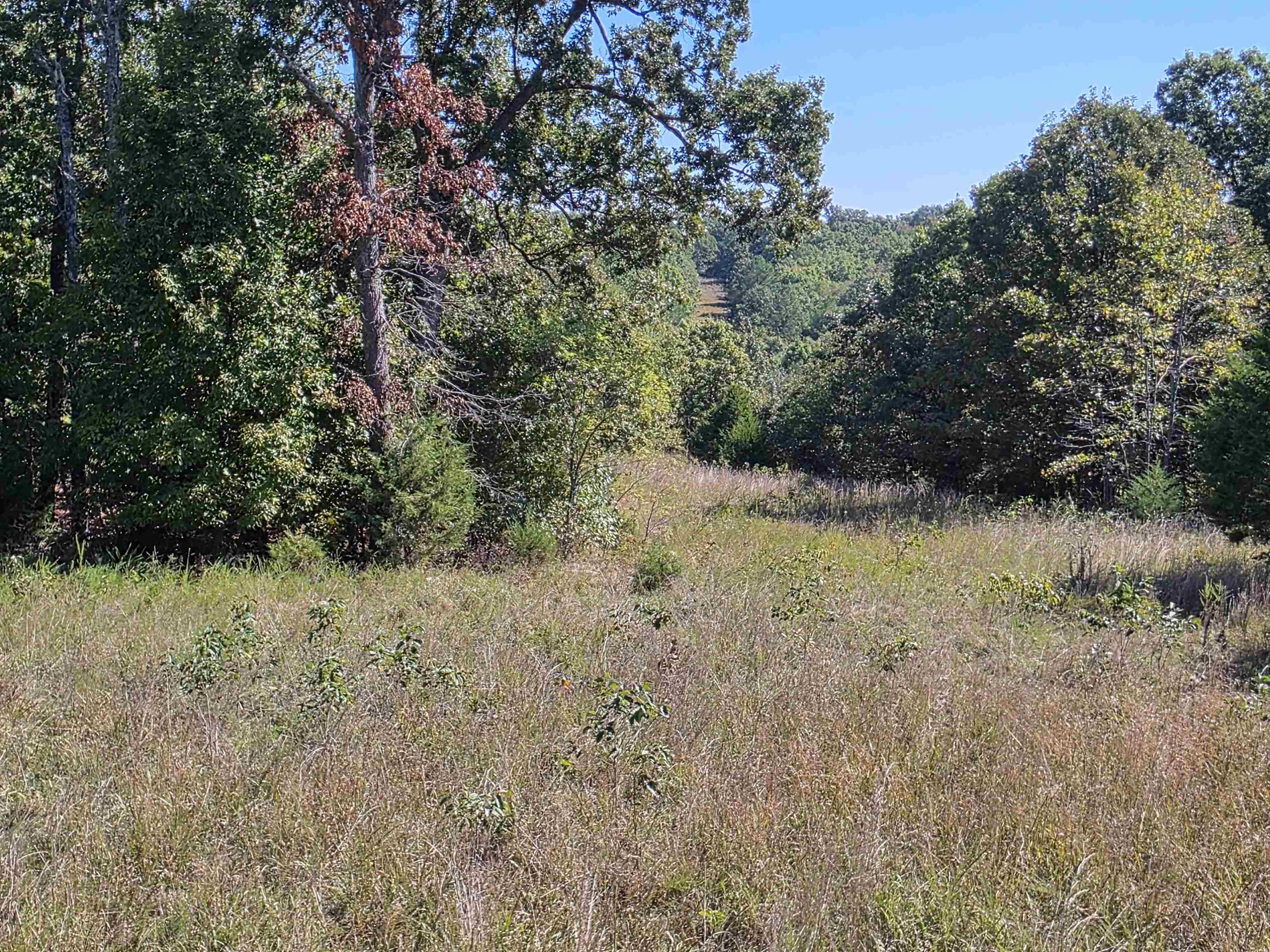 3013-3015 Possum Trot  Ash Flat, AR