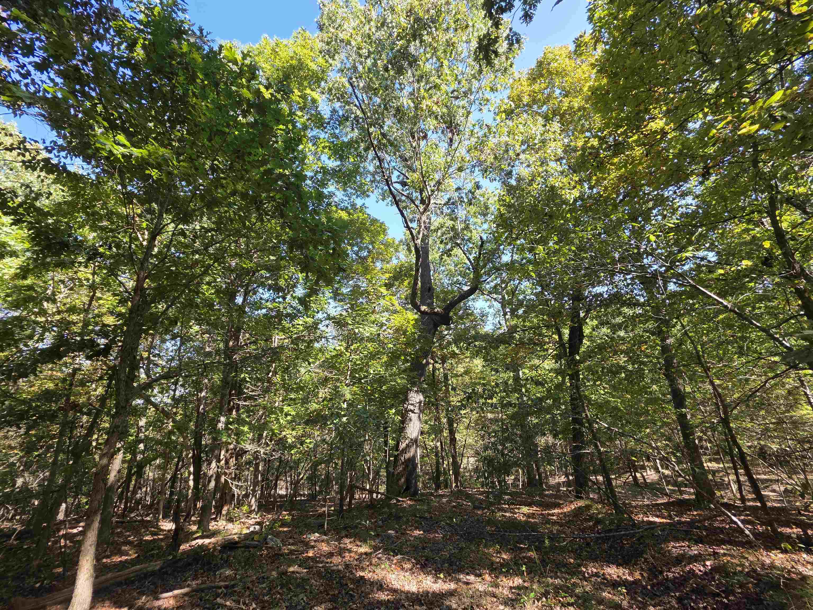 3013-3015 Possum Trot  Ash Flat, AR