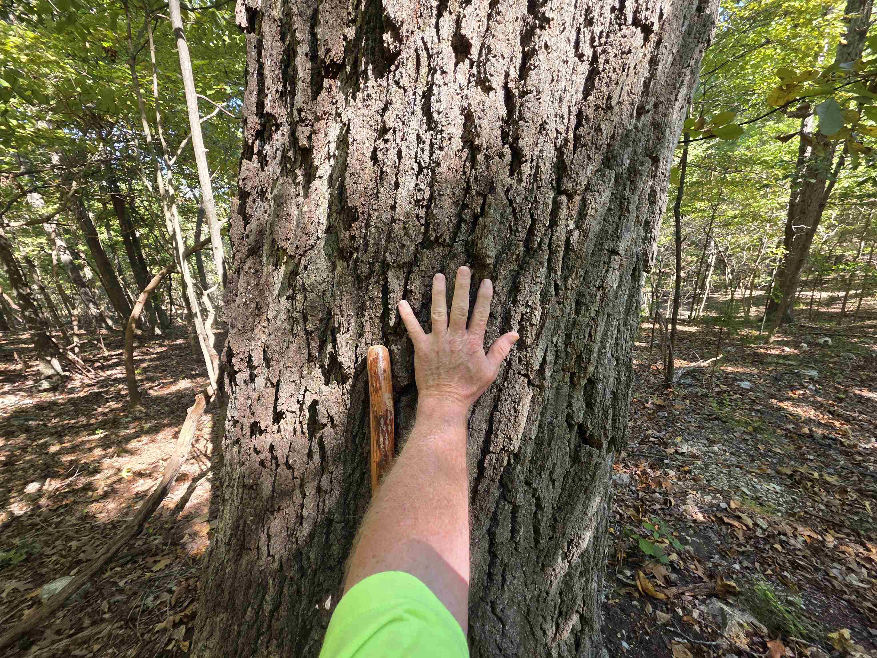 3013-3015 Possum Trot  Ash Flat, AR