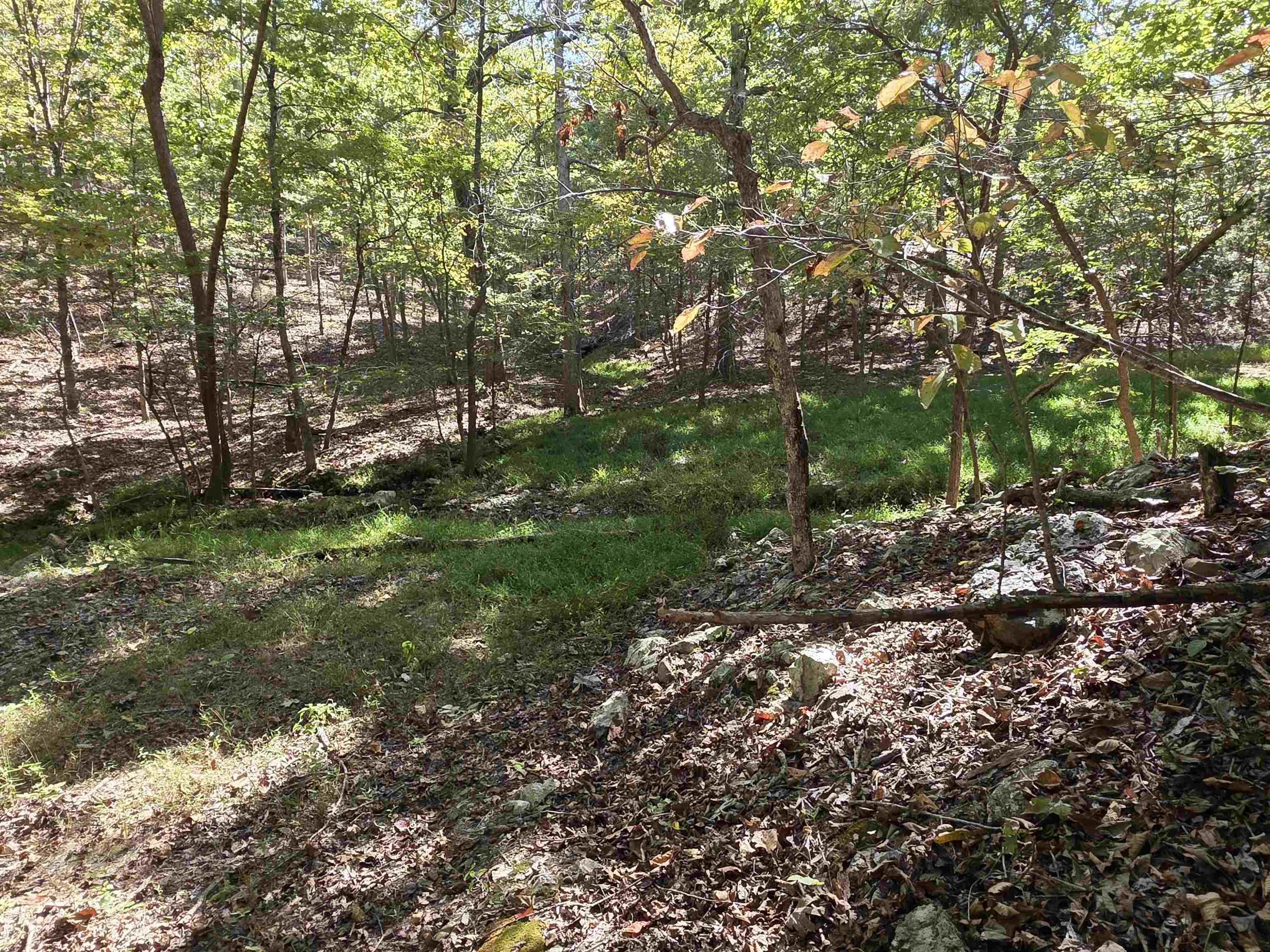 3013-3015 Possum Trot  Ash Flat, AR