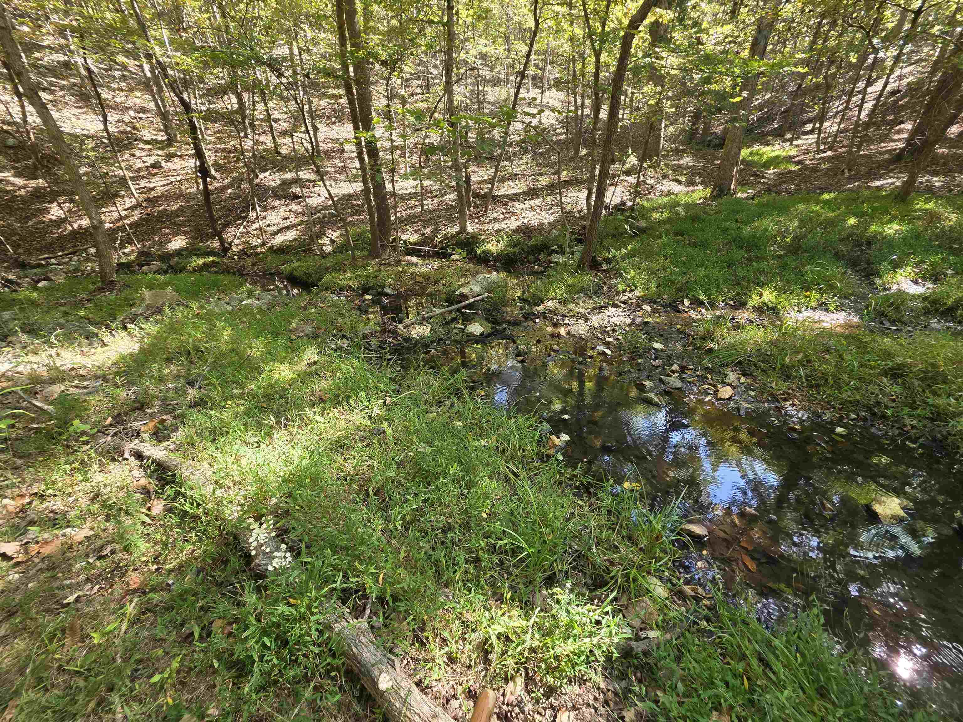 3013-3015 Possum Trot  Ash Flat, AR