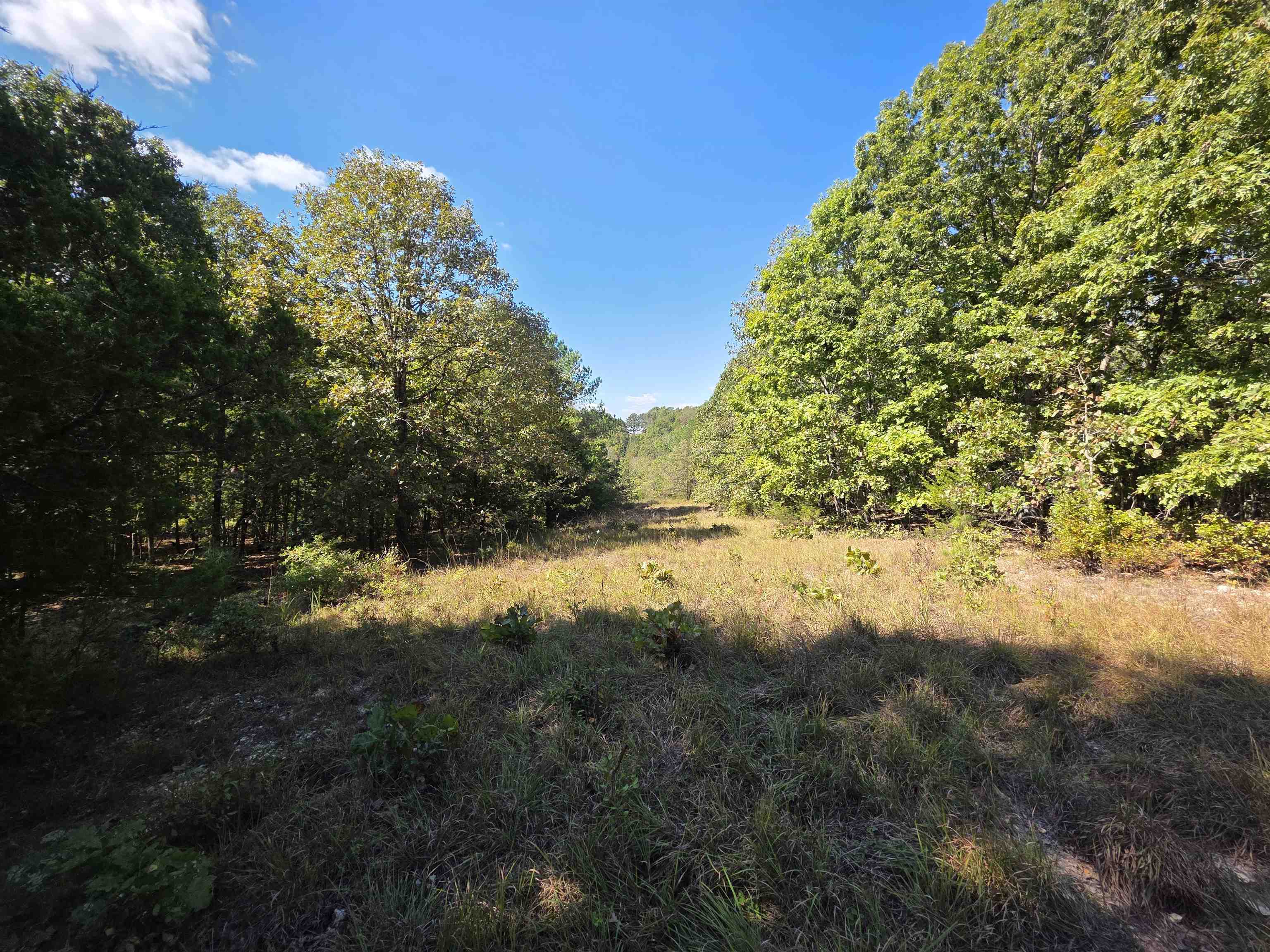 3013-3015 Possum Trot  Ash Flat, AR