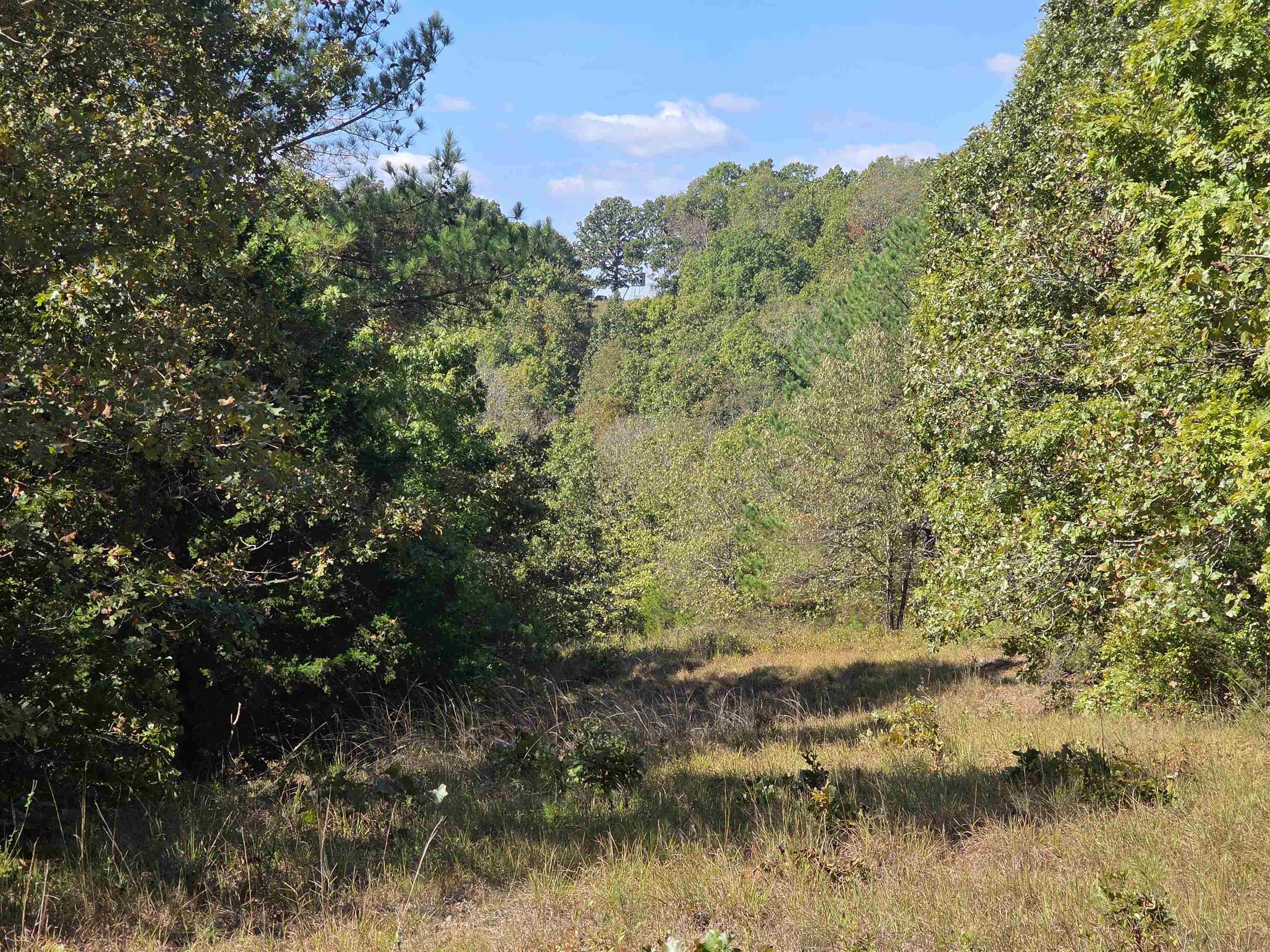 3013-3015 Possum Trot  Ash Flat, AR