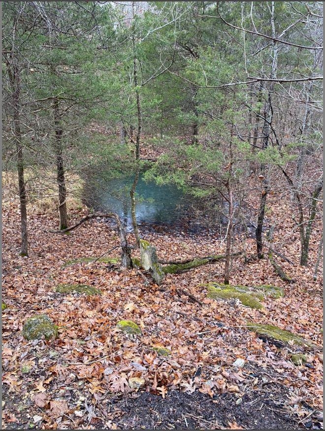 3013-3015 Possum Trot  Ash Flat, AR