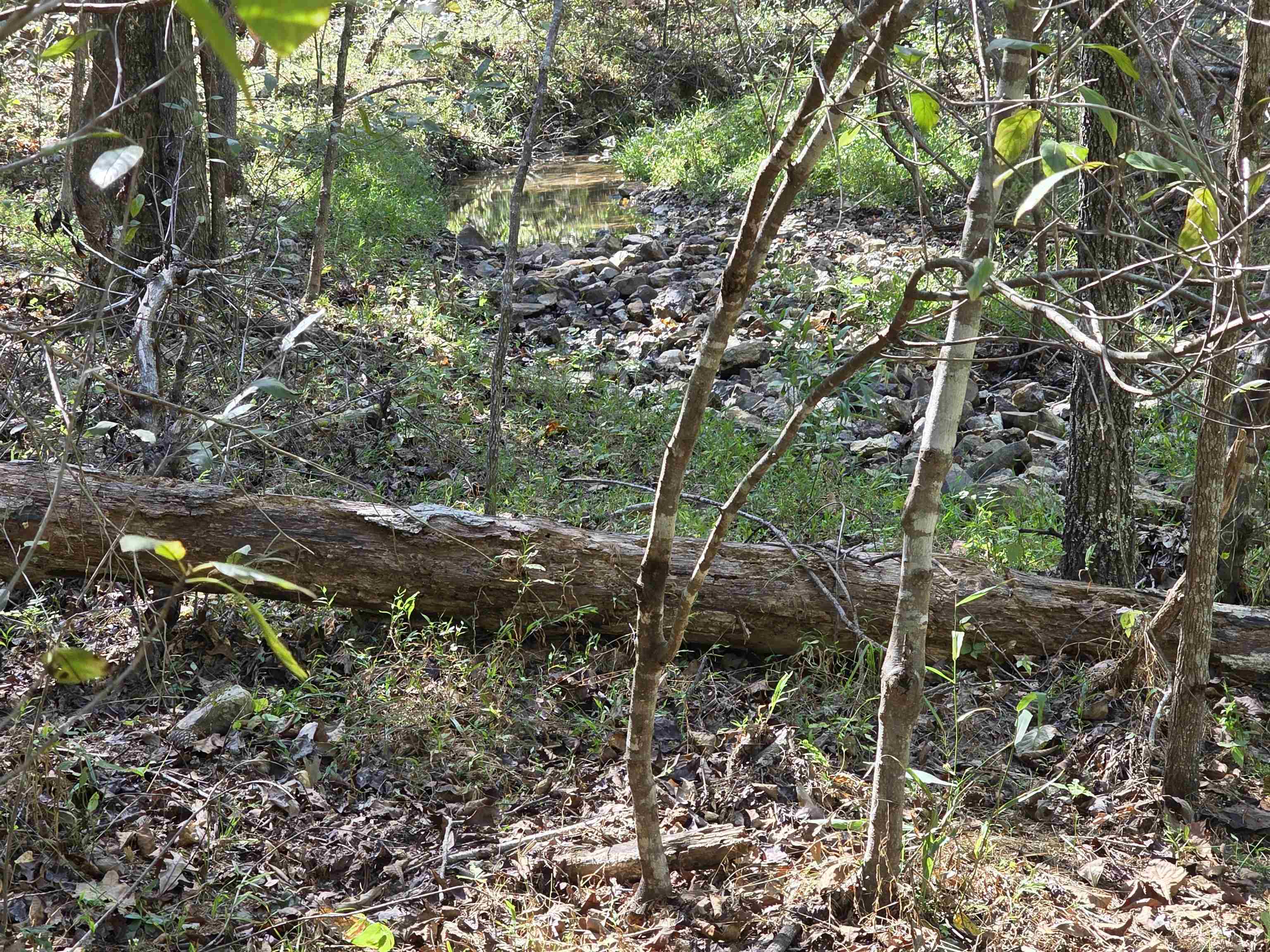 3013-3015 Possum Trot  Ash Flat, AR