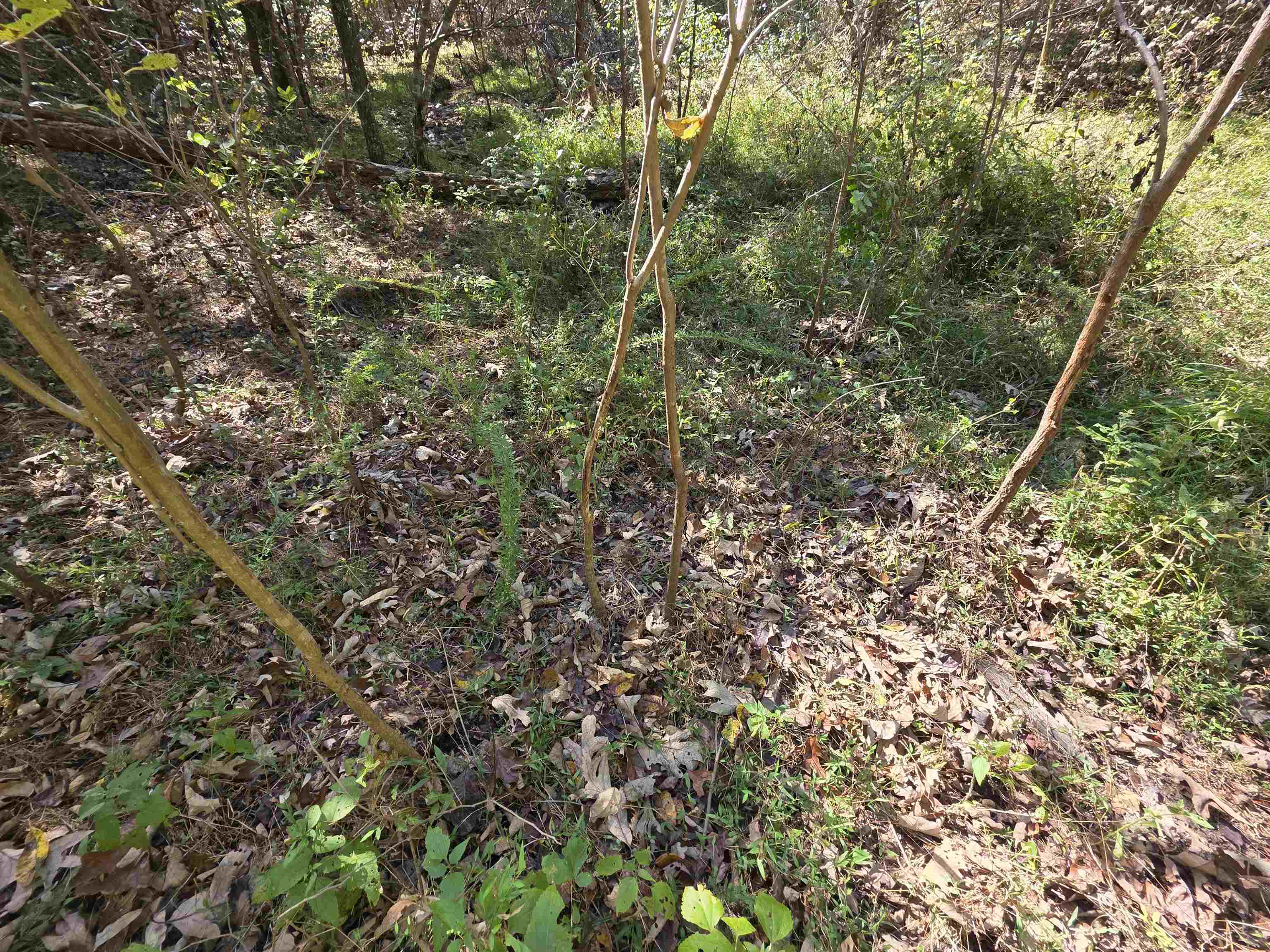 3013-3015 Possum Trot  Ash Flat, AR