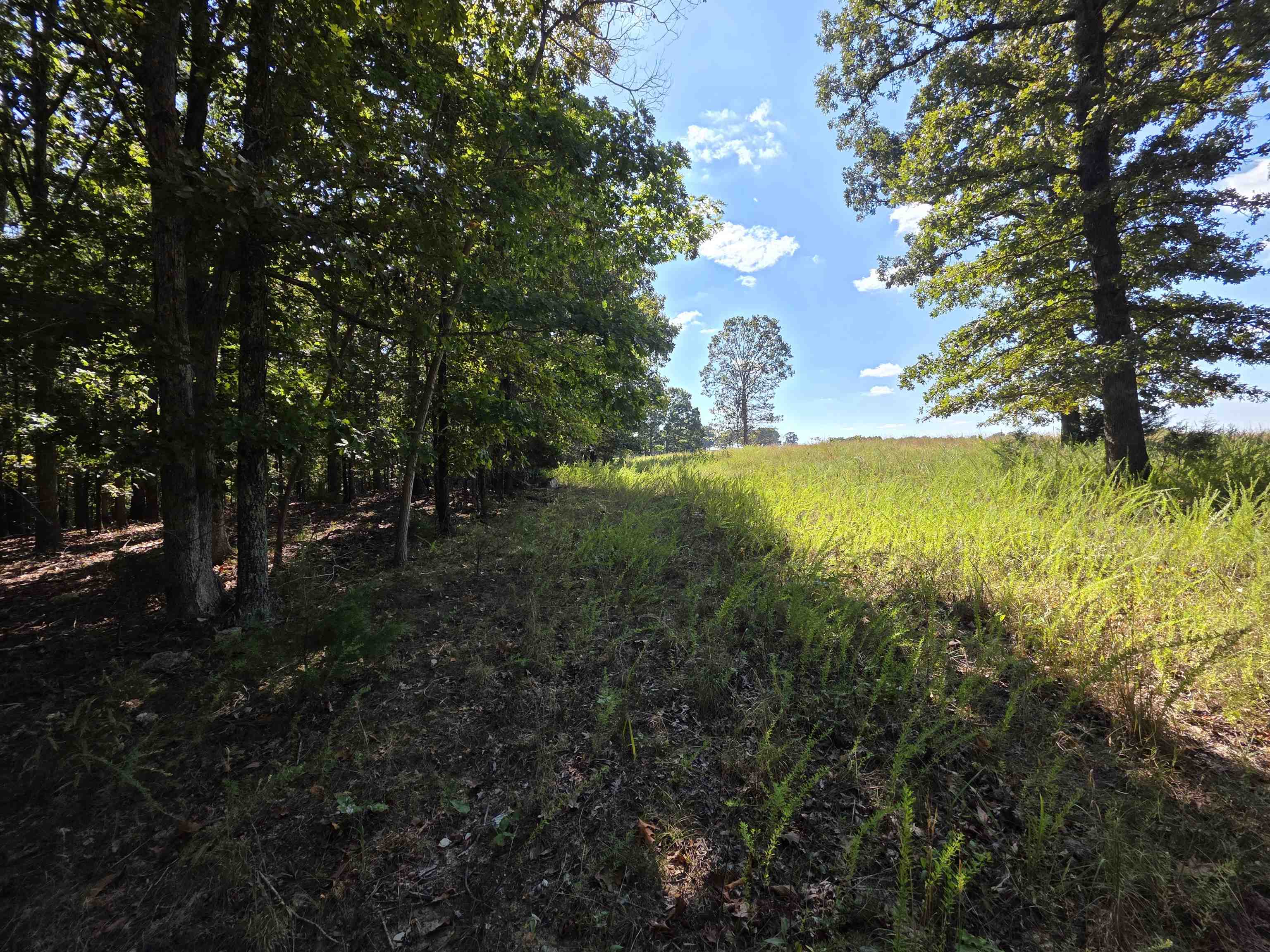 3013-3015 Possum Trot  Ash Flat, AR