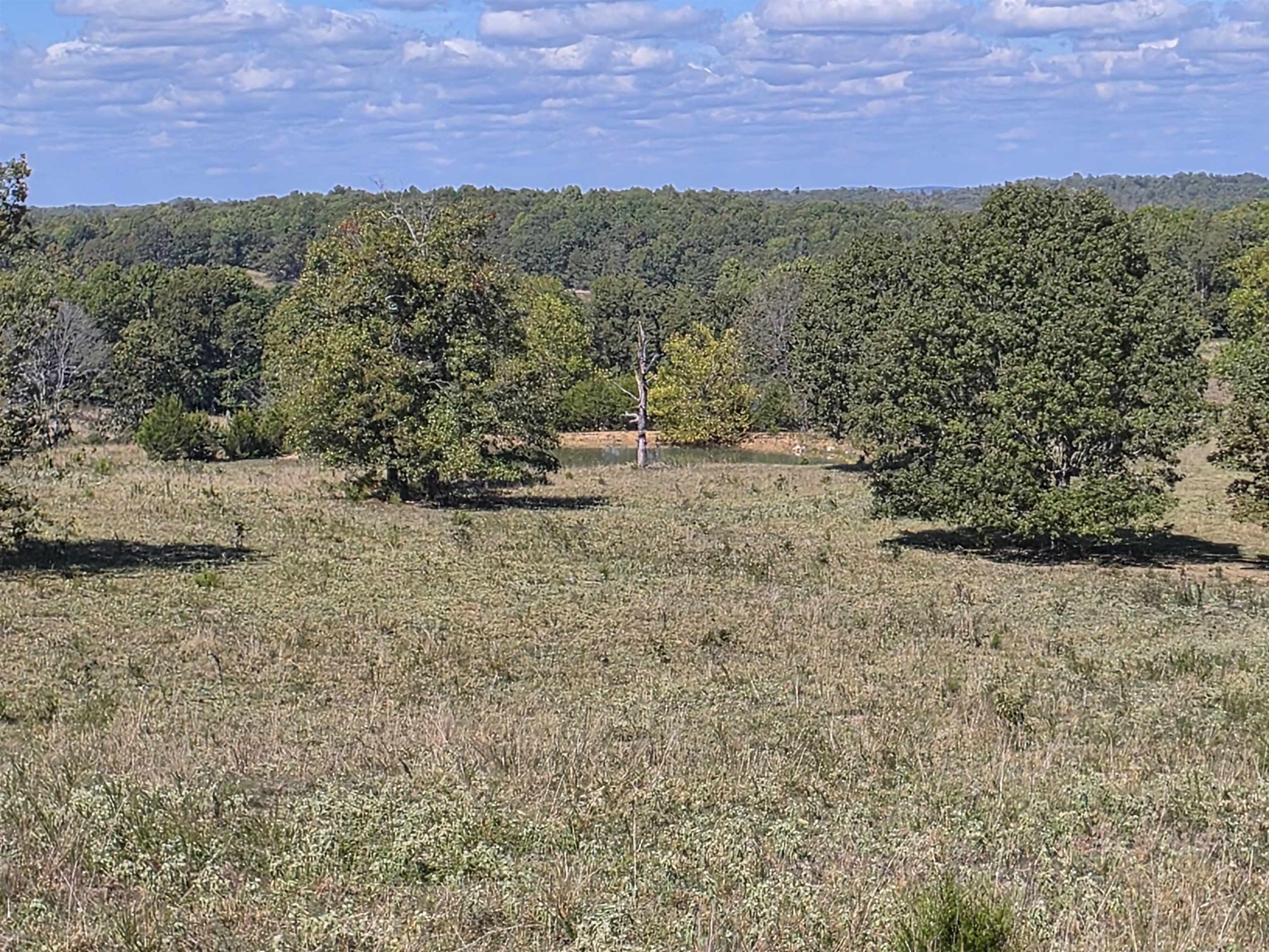 3013-3015 Possum Trot  Ash Flat, AR