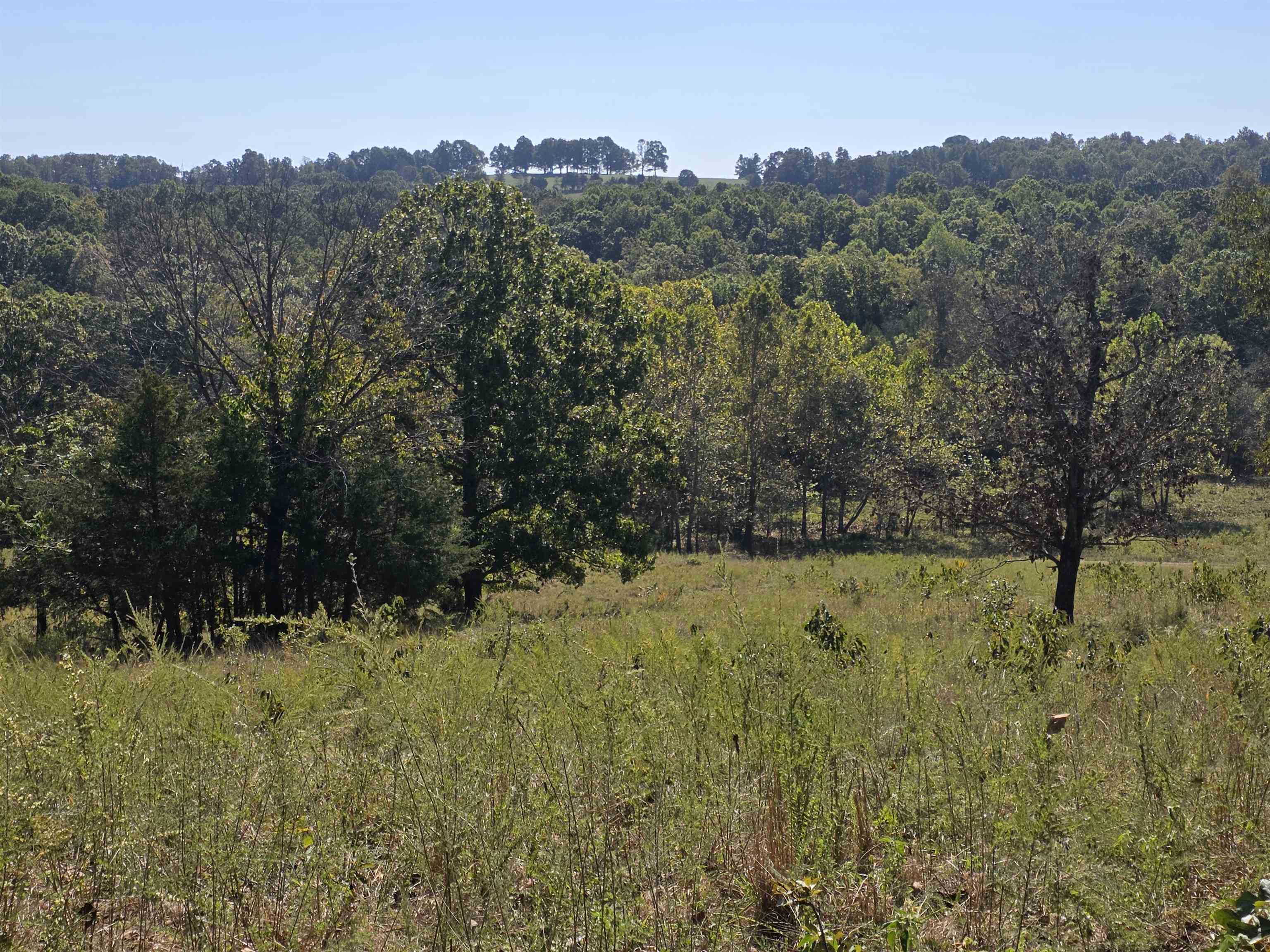 3013-3015 Possum Trot  Ash Flat, AR