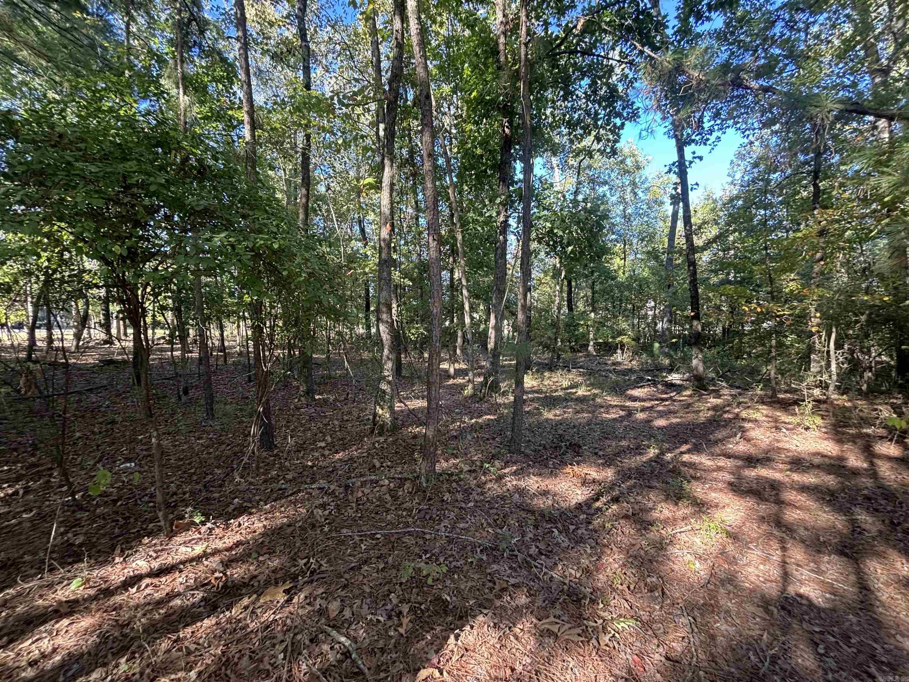 0 Freda Lane (South Lot)  Sheridan, AR