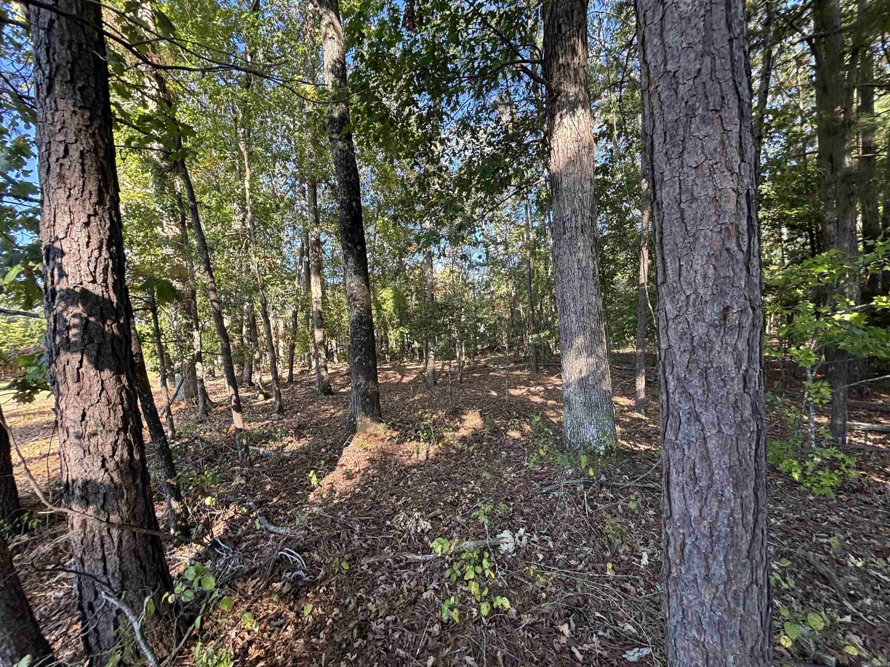 0 Freda Lane (South Lot)  Sheridan, AR