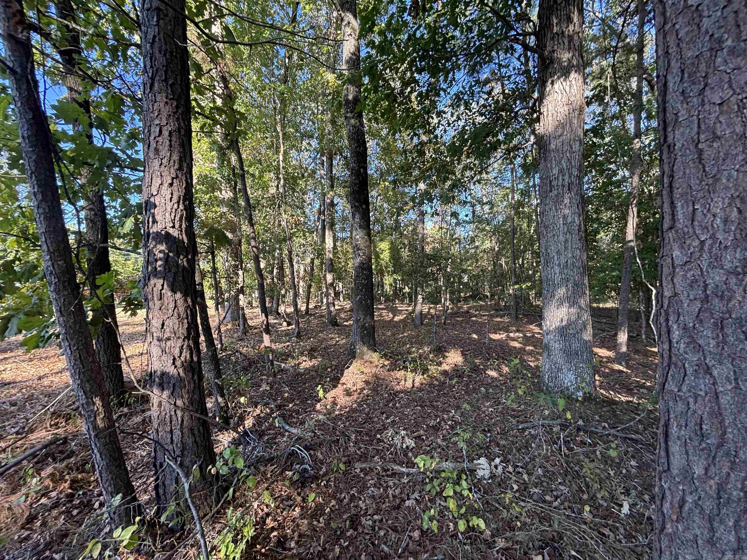 0 Freda Lane (South Lot)  Sheridan, AR