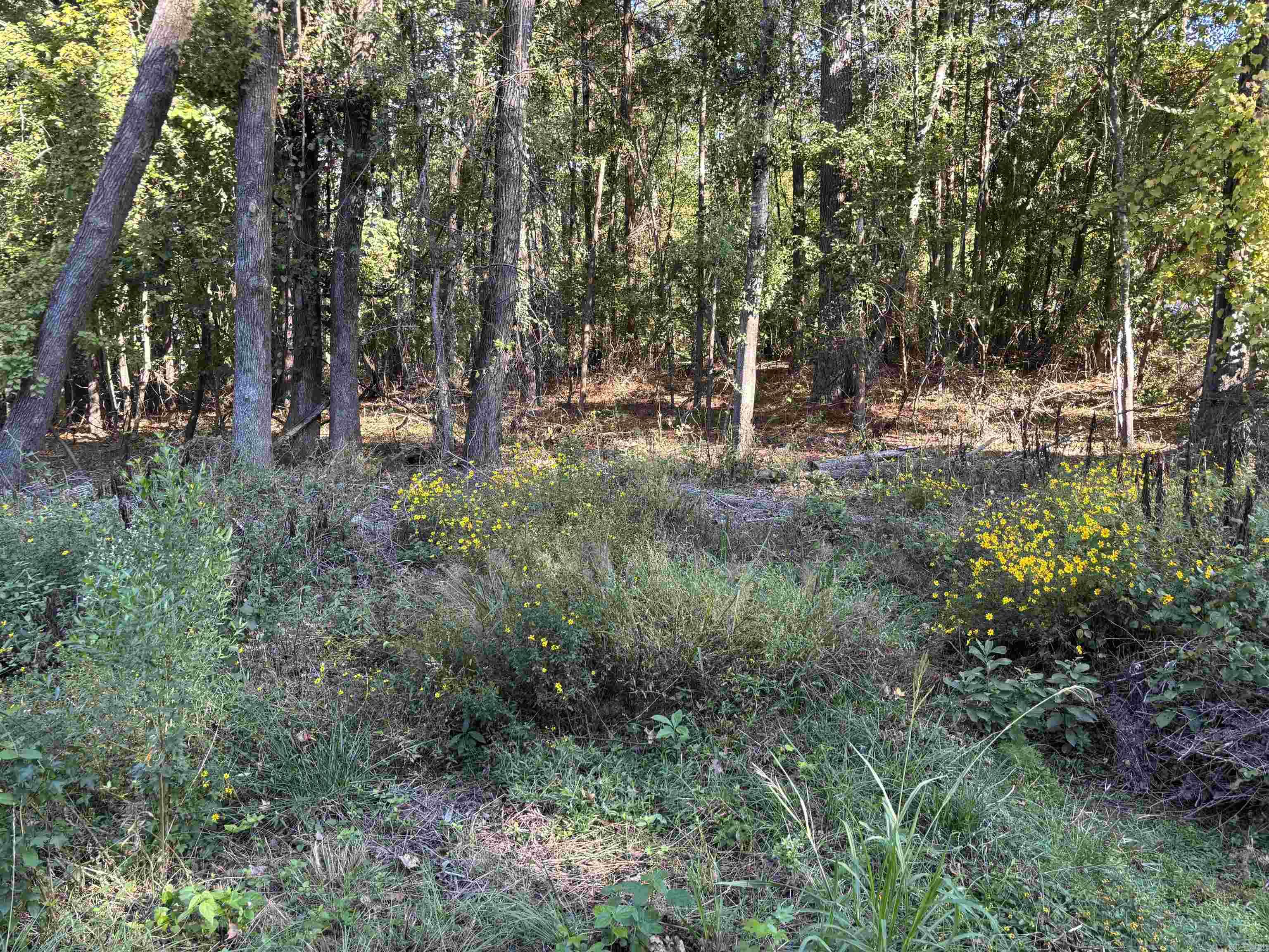 0 Gary Lane  Sheridan, AR