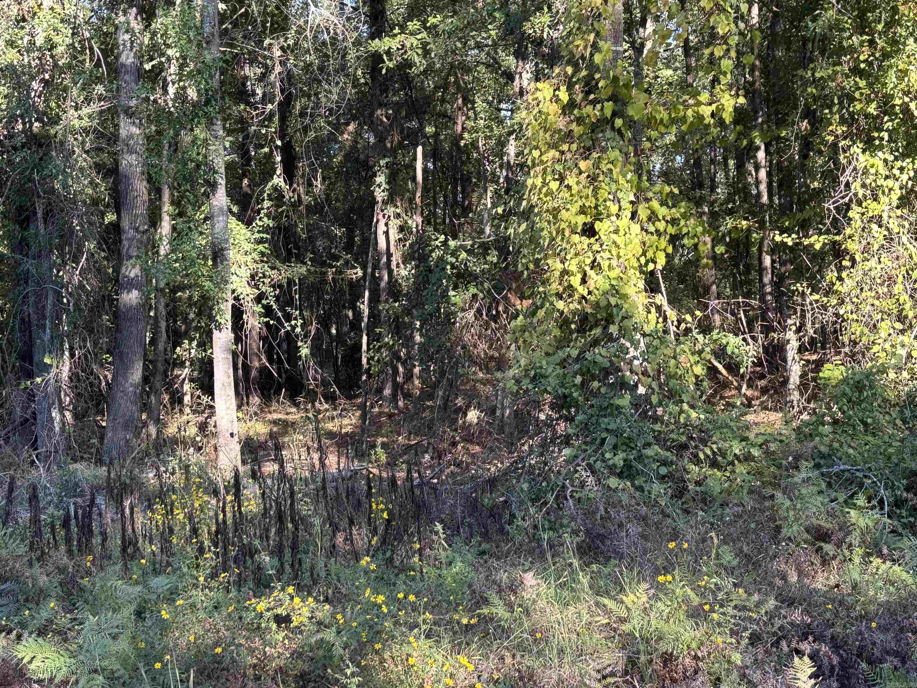 0 Gary Lane  Sheridan, AR