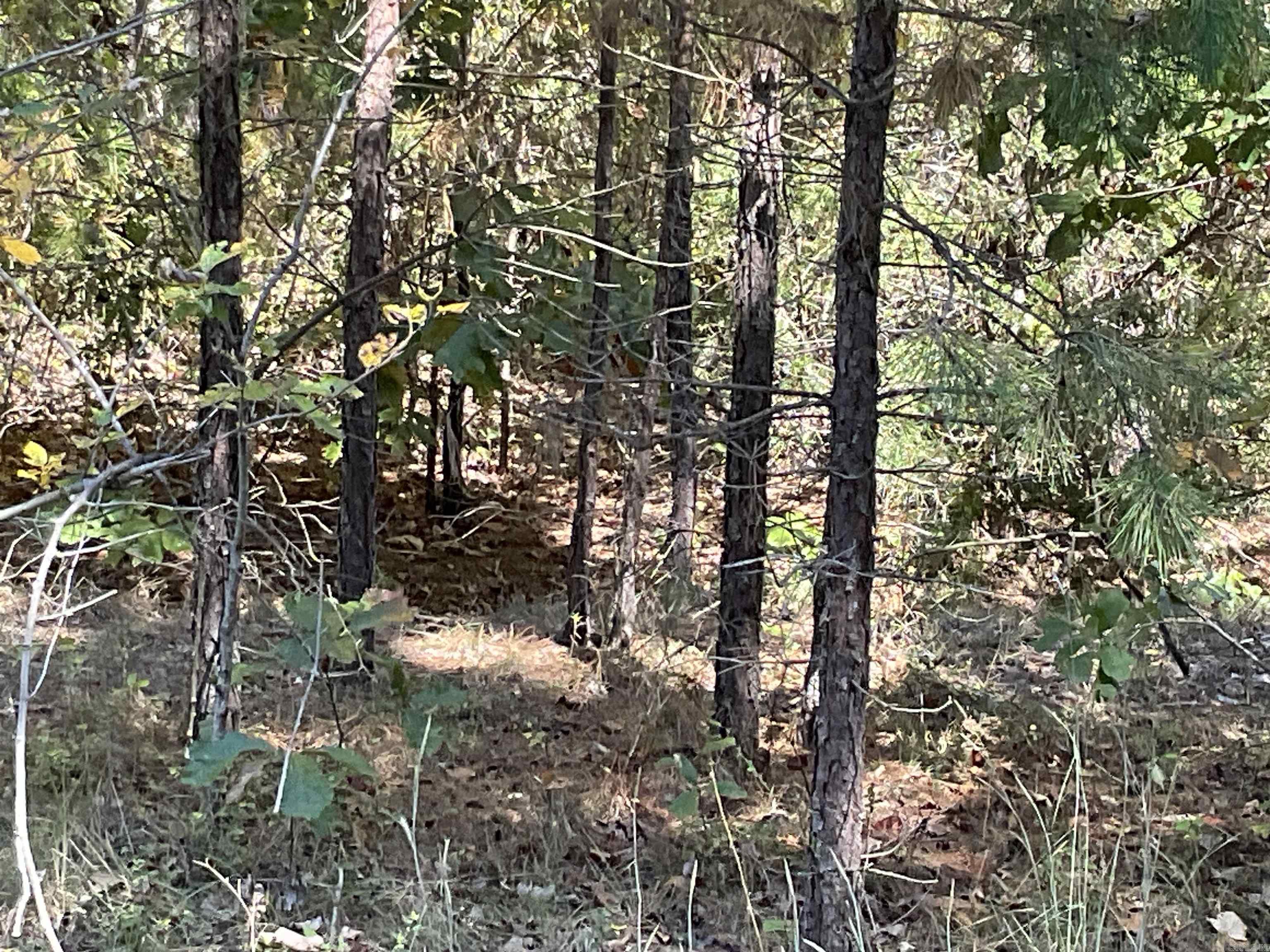 301-501 Meade Road  Choctaw, AR