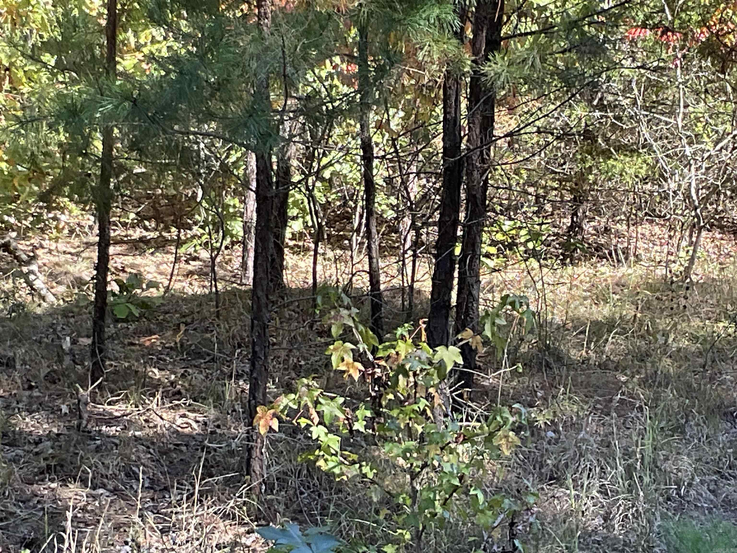 301-501 Meade Road  Choctaw, AR