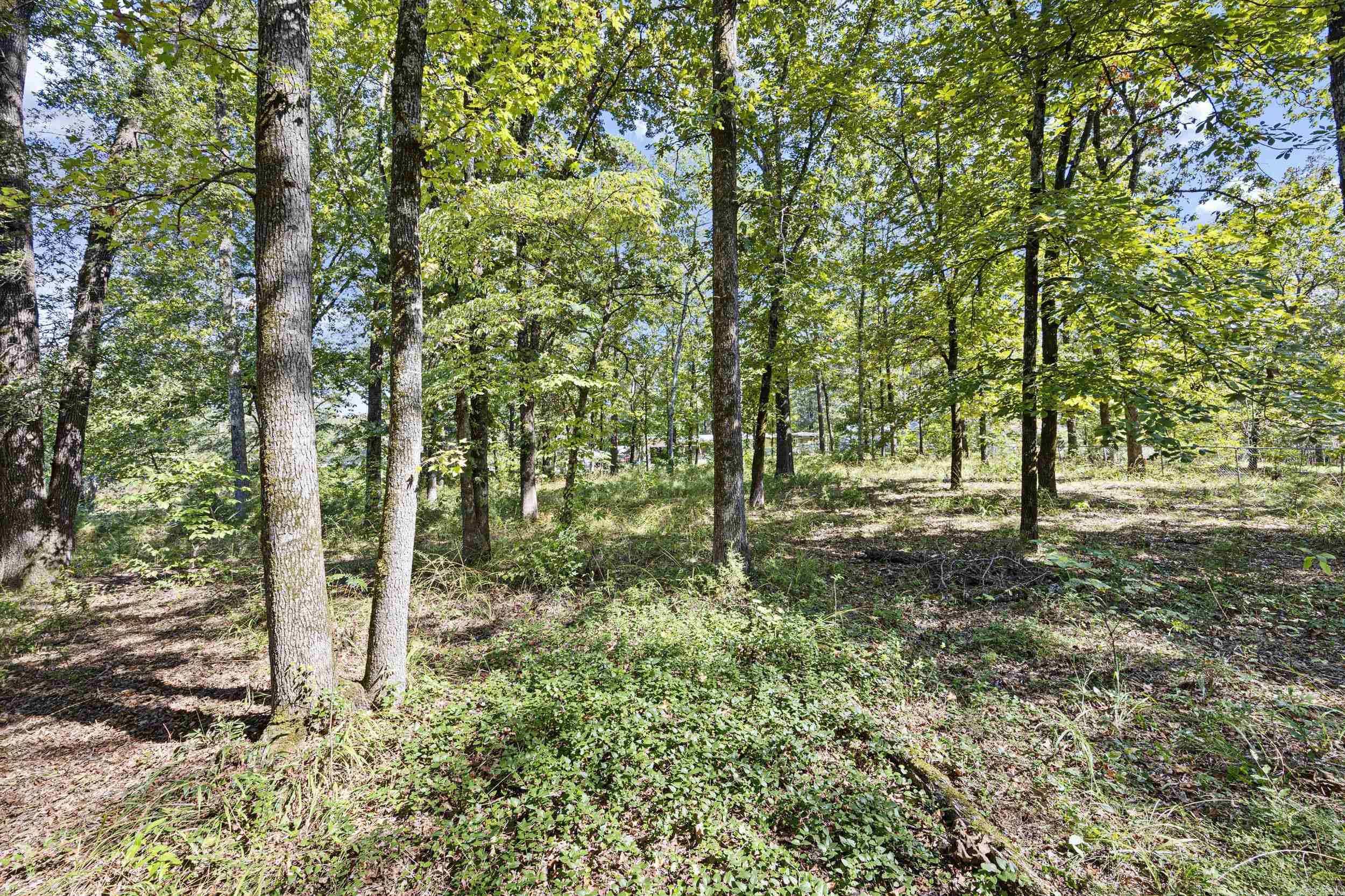 10237 Carter Cove Road Plainview, AR 72857