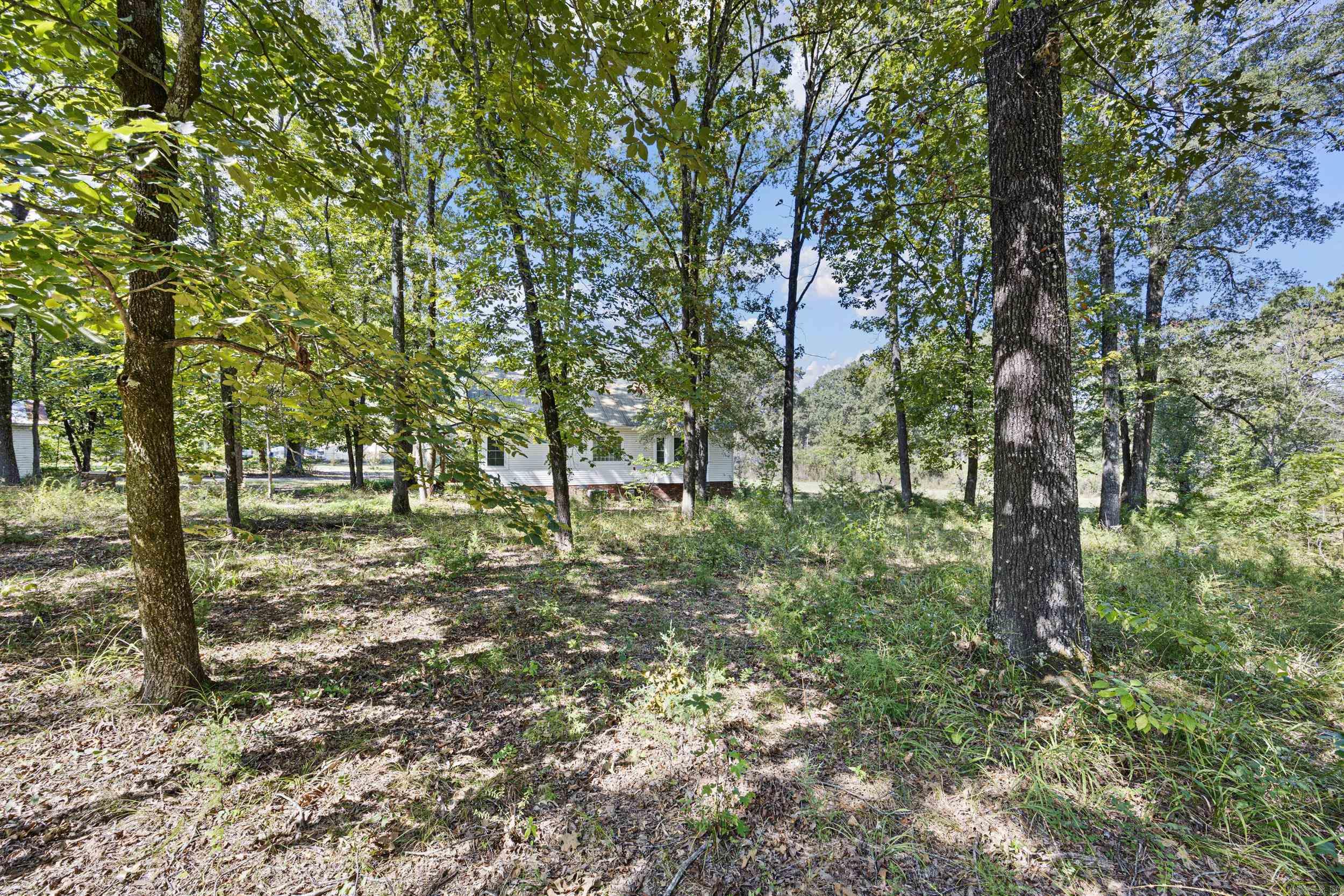 10237 Carter Cove Road Plainview, AR 72857