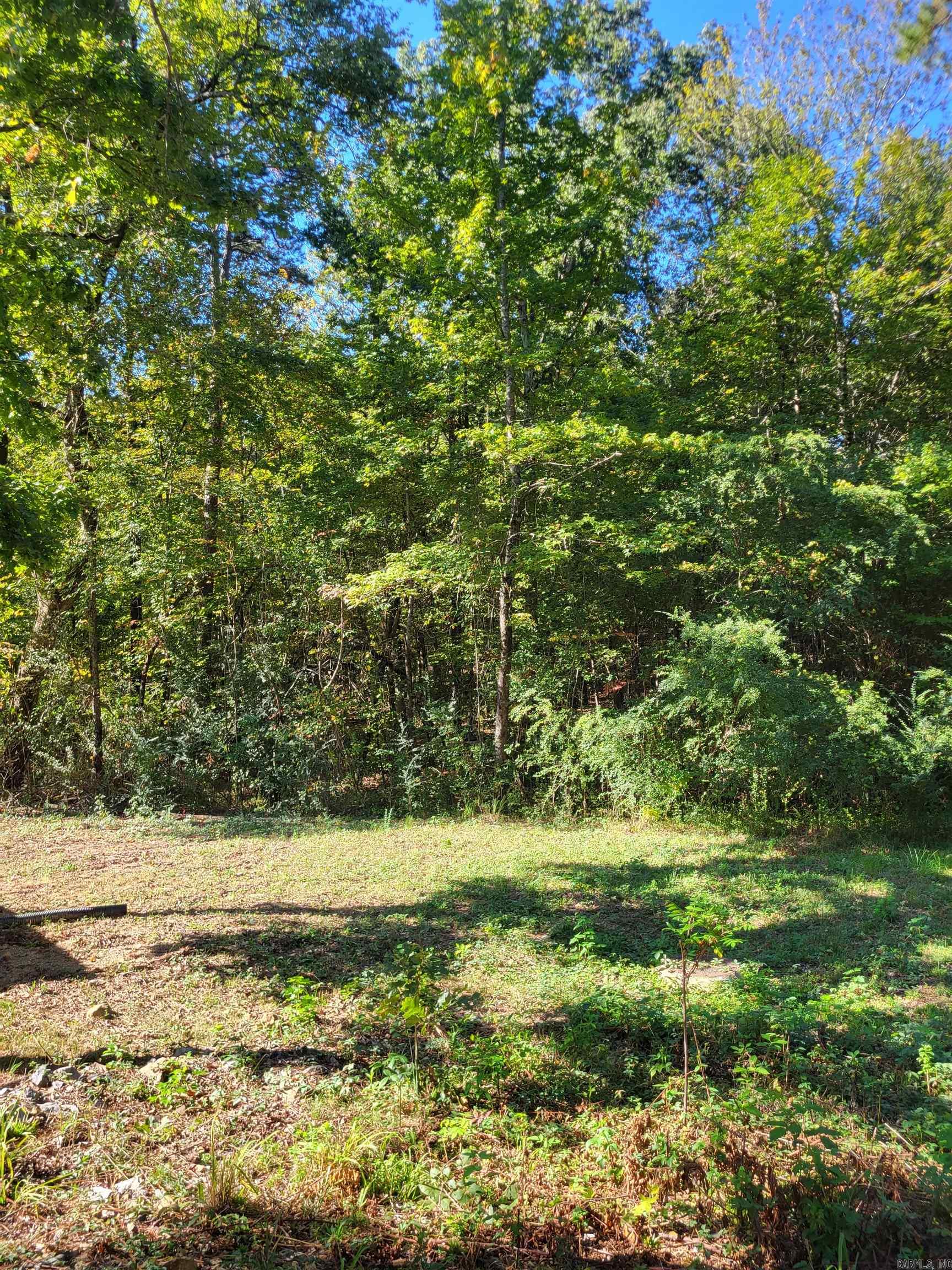 000 Coleman Avenue  Little Rock, AR