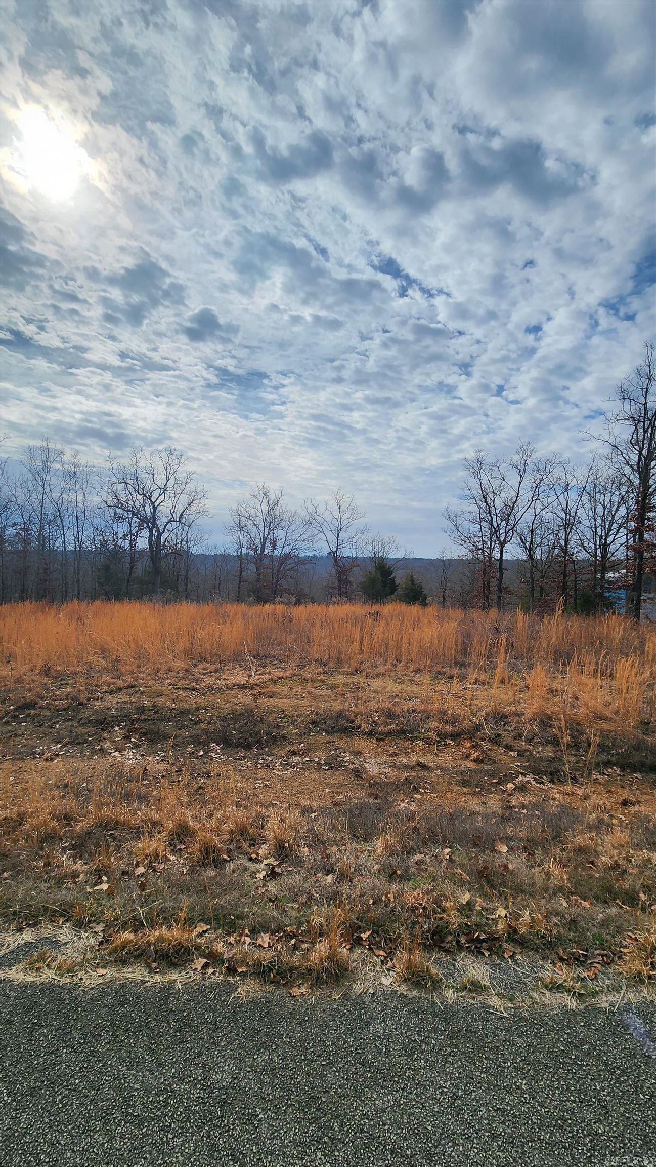 15 Buena Vista Dr  Jacksonville, AR