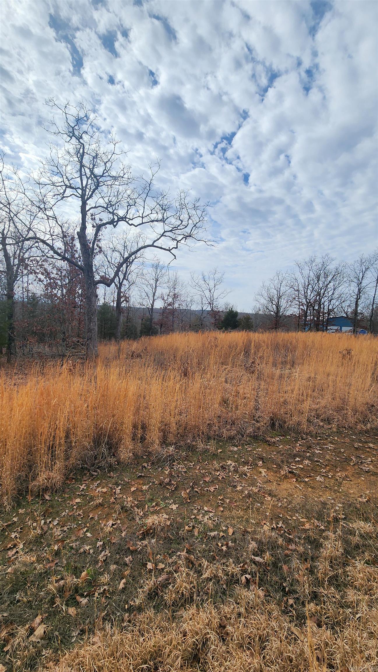 15 Buena Vista Dr  Jacksonville, AR