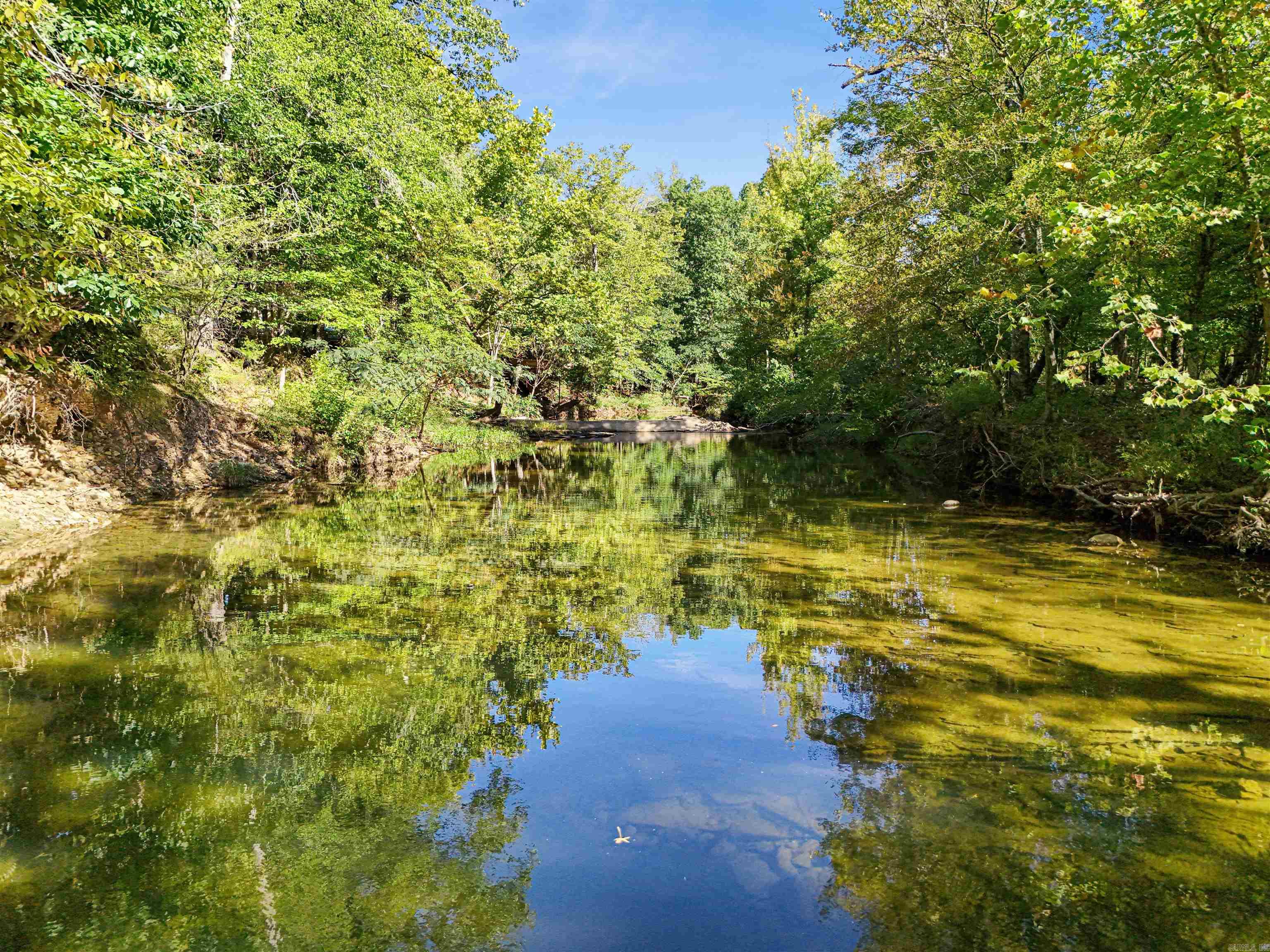217 Talley Cemetery  Jessieville, AR