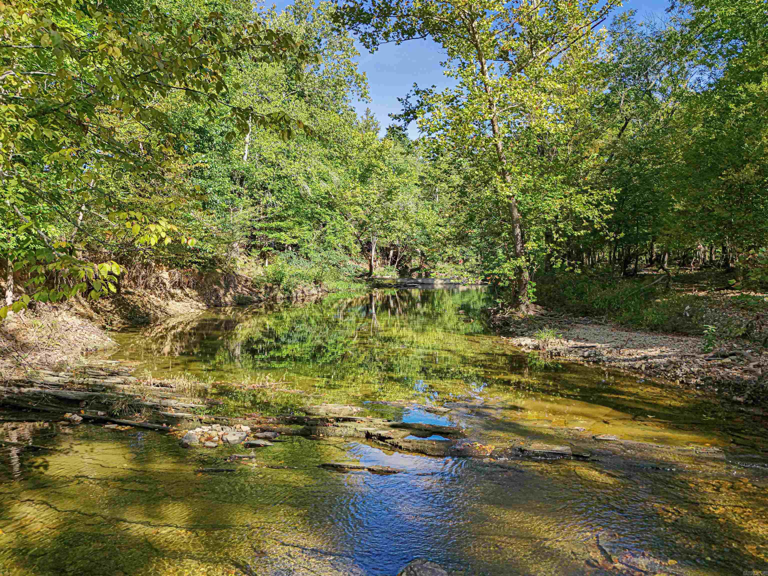 217 Talley Cemetery  Jessieville, AR