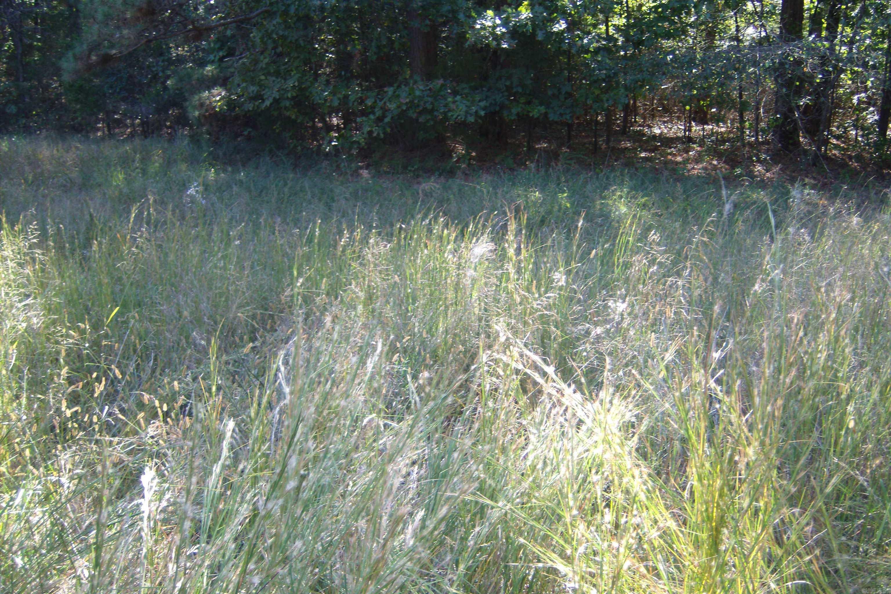 00 Plantation DR  Heber Springs, AR