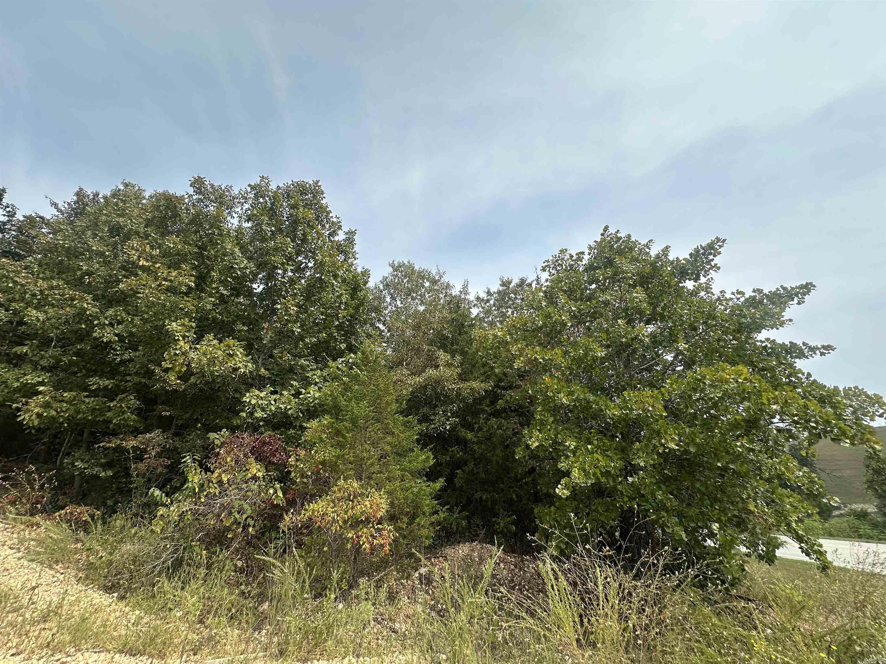 10000 N 27  Marshall, AR