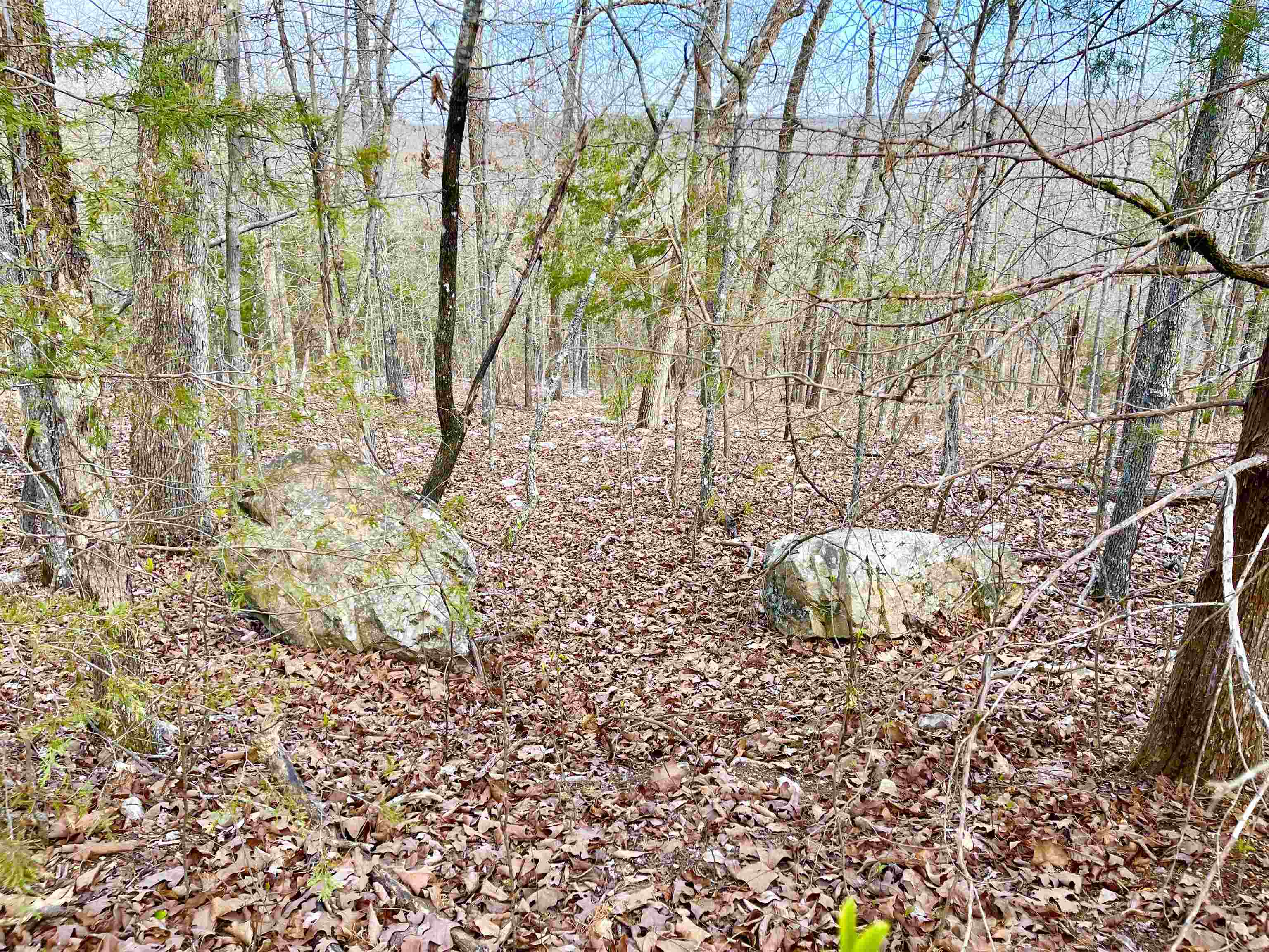 0 Coweta  Cherokee Village, AR