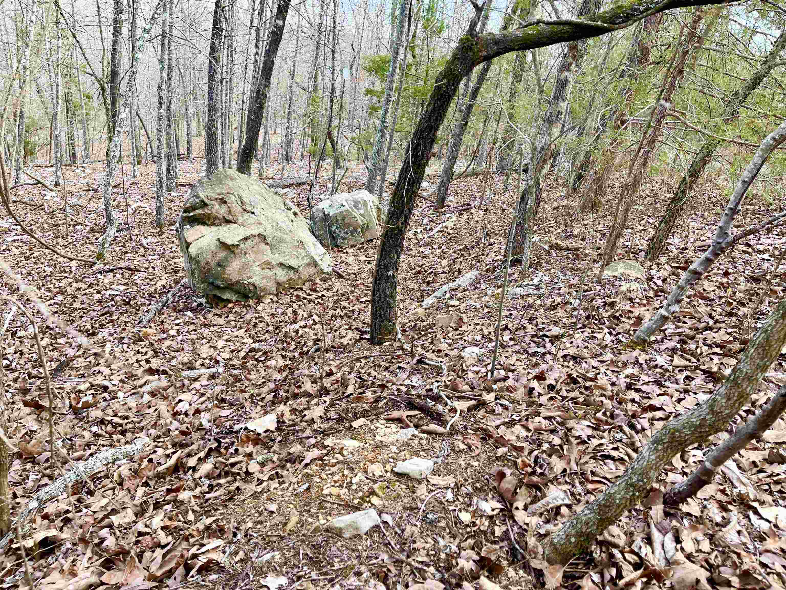 0 Coweta  Cherokee Village, AR