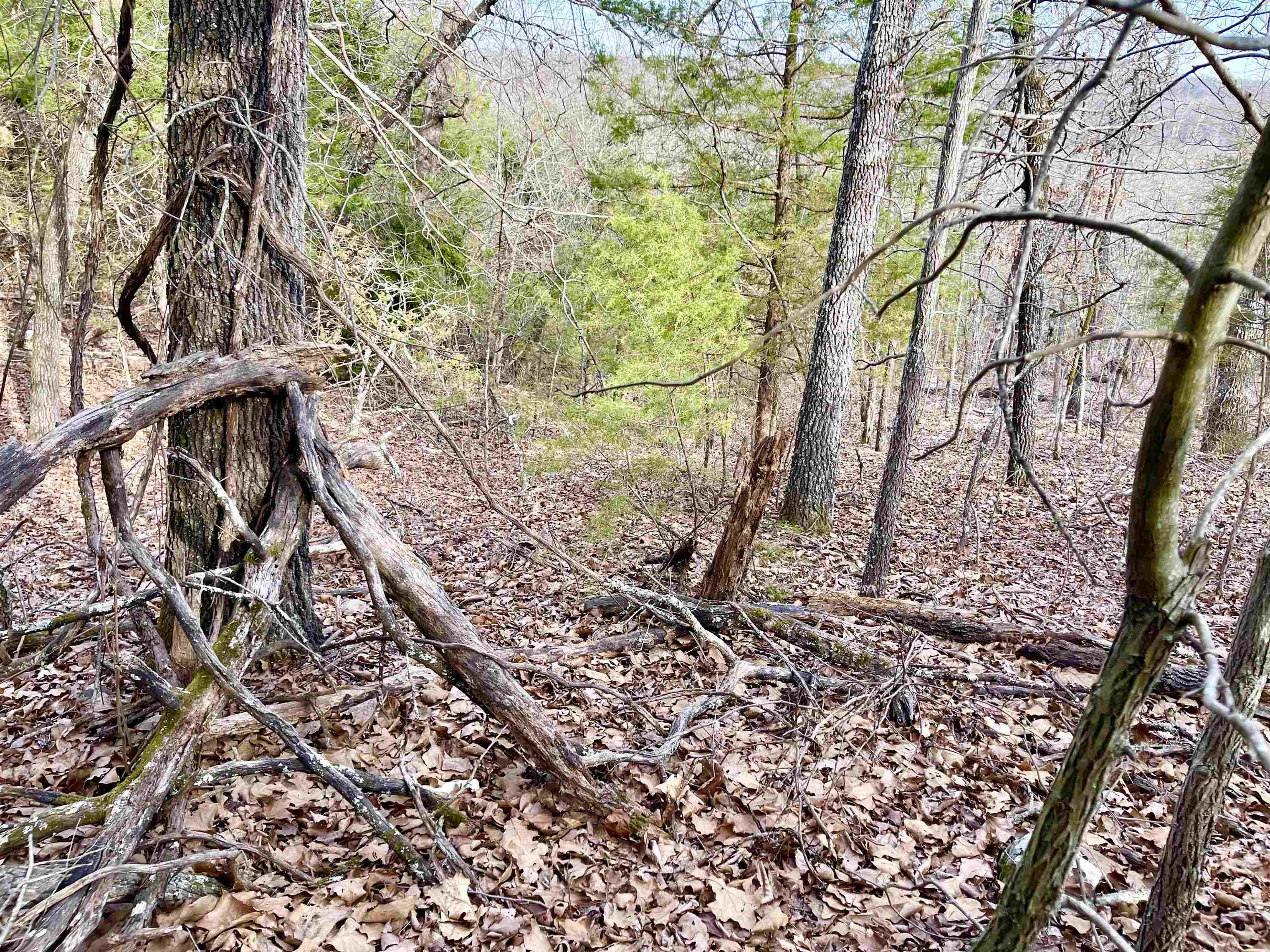 0 Coweta  Cherokee Village, AR