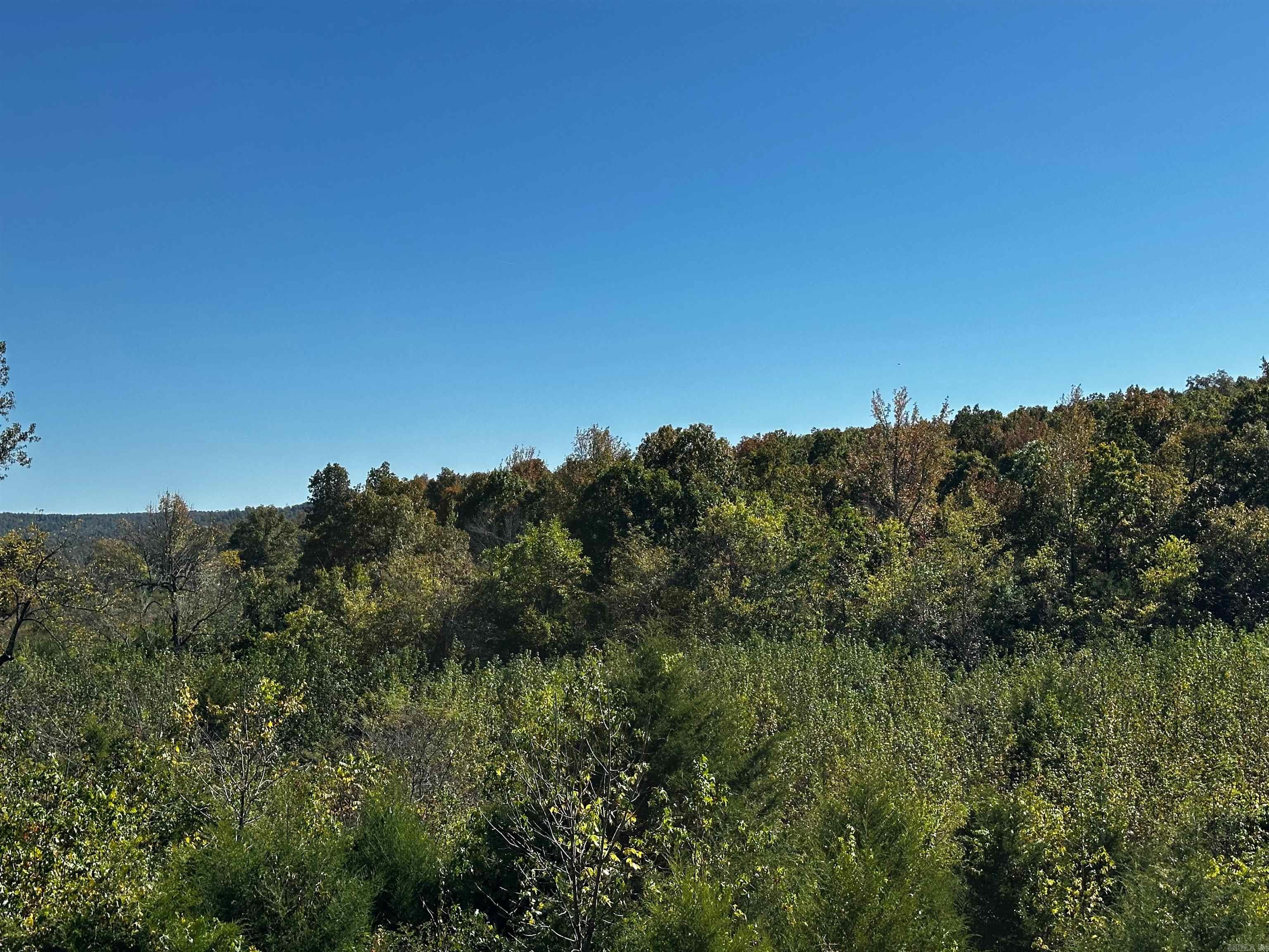 185 Sugar Hill  Mountain View, AR