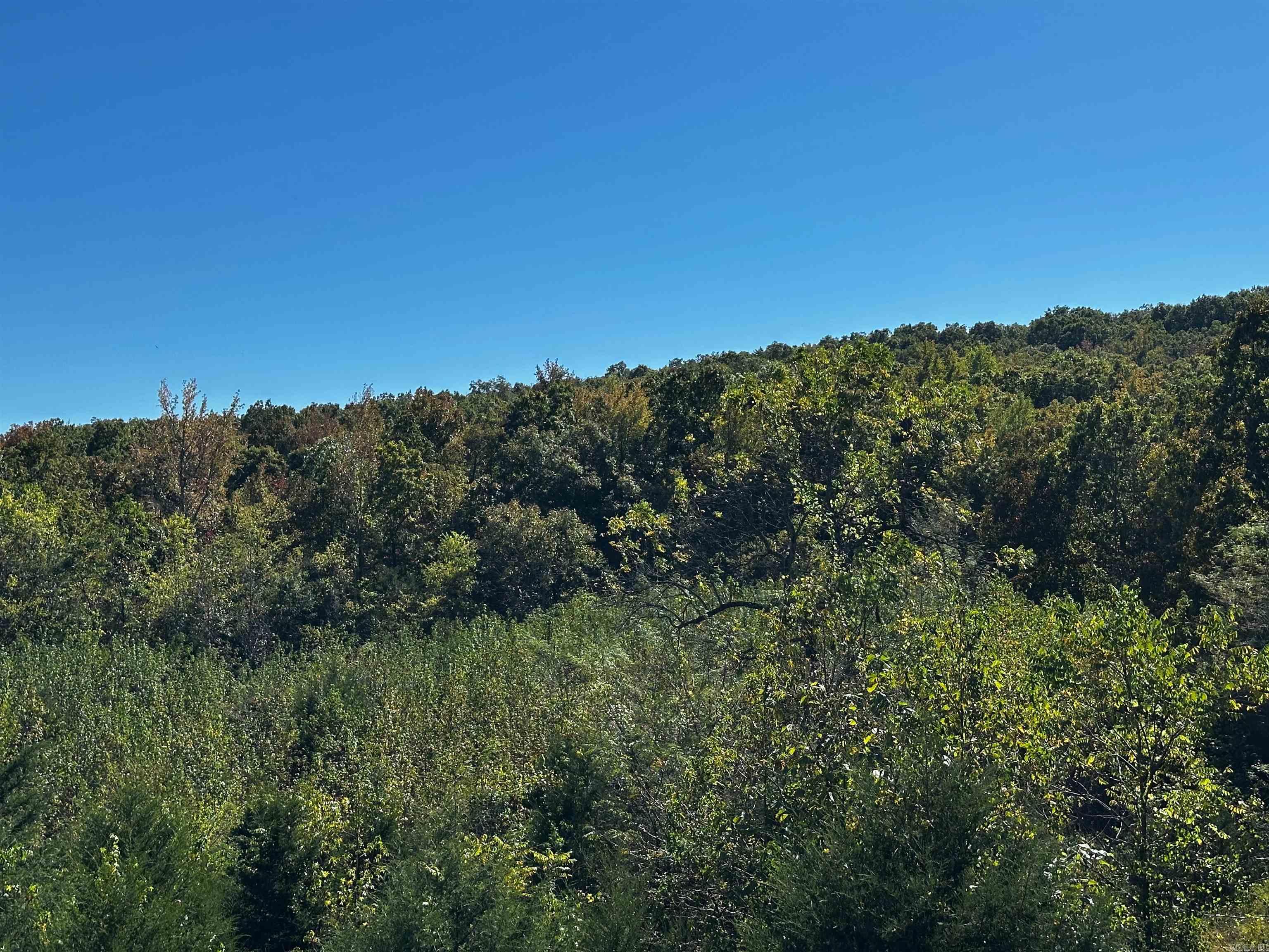 185 Sugar Hill  Mountain View, AR