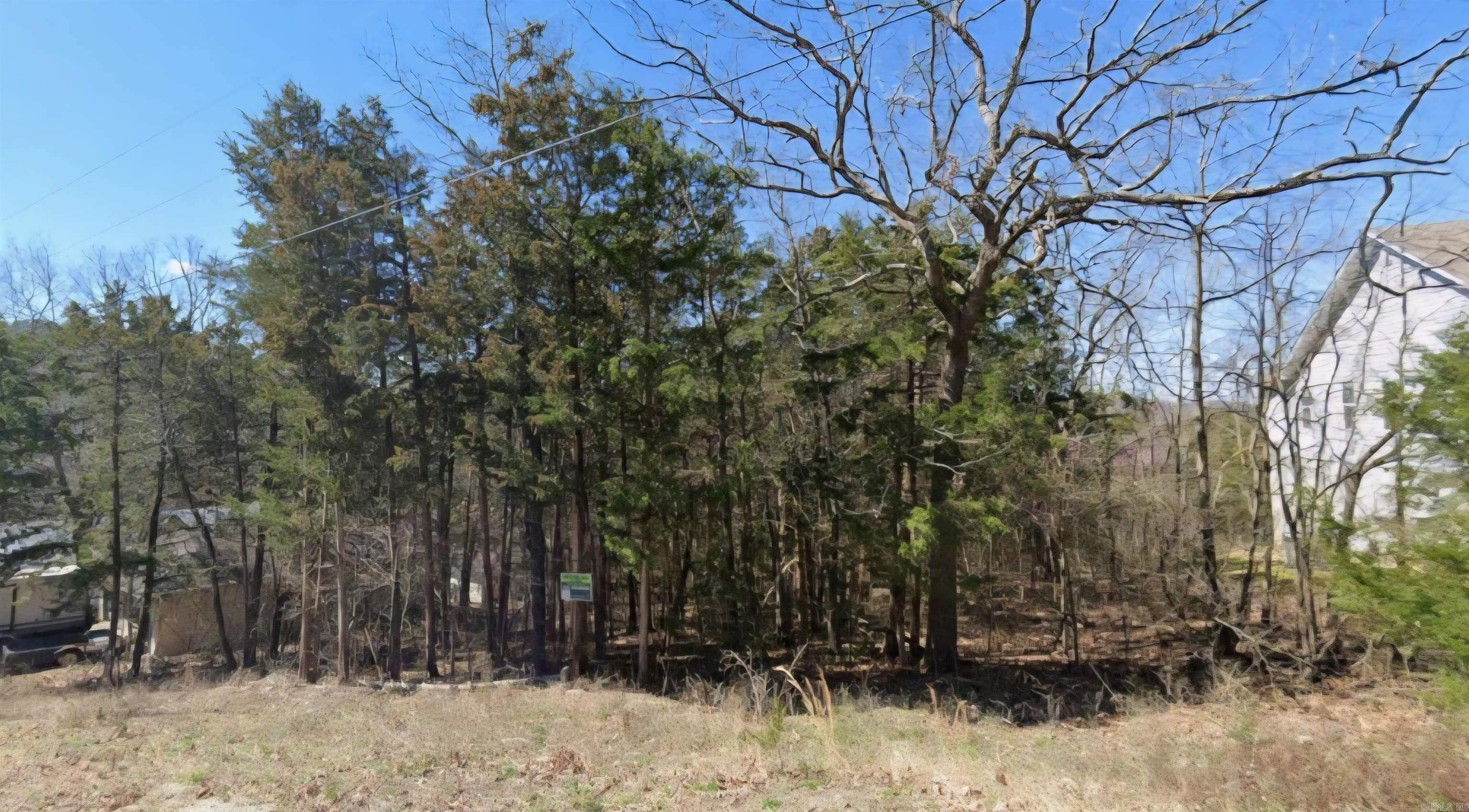 Lot 22 Blackfoot  Holiday Island, AR