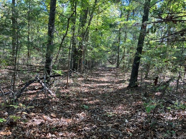 320 Griffin  Warm Springs, AR