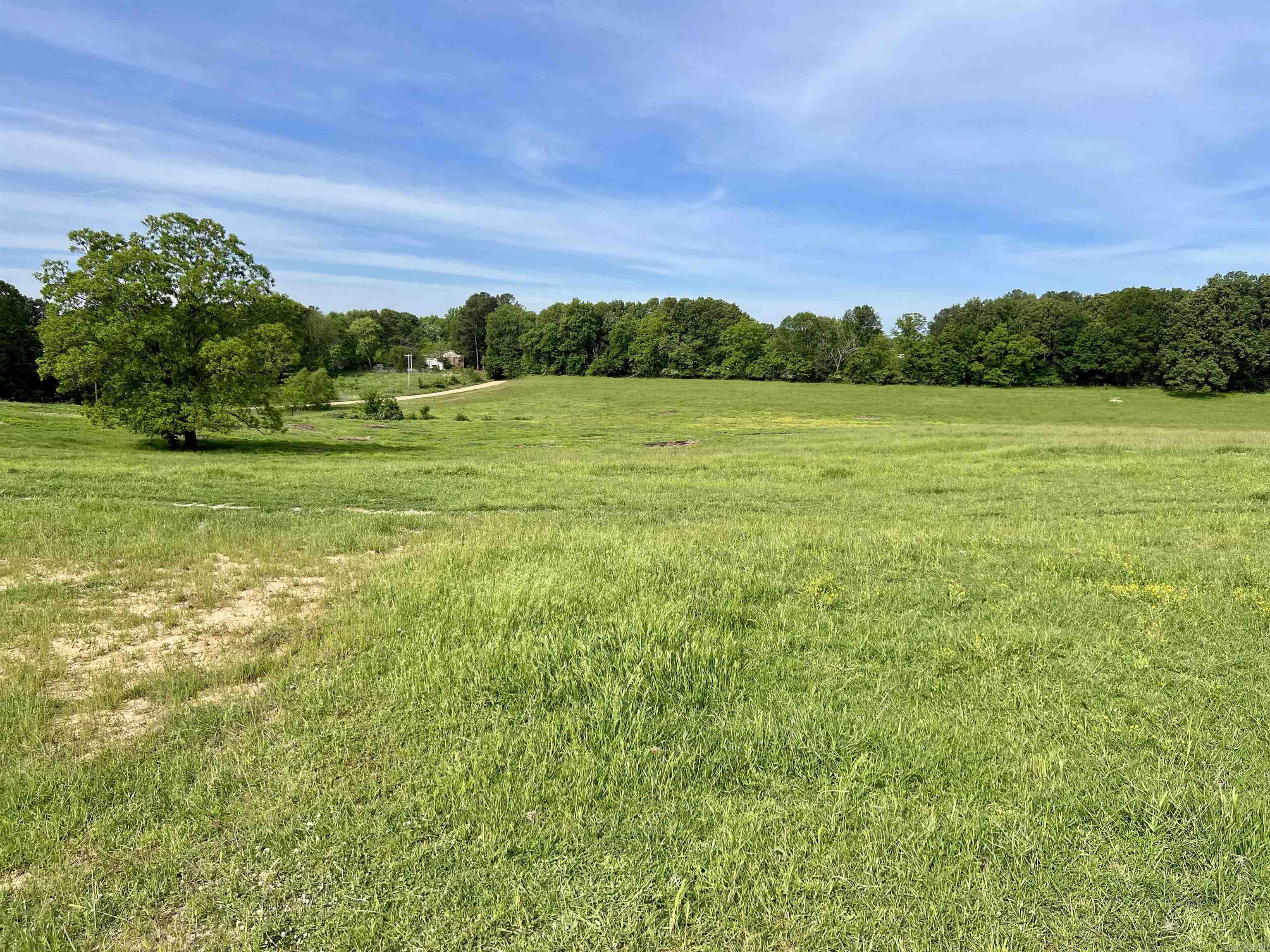 279 county road 342  Jonesboro, AR