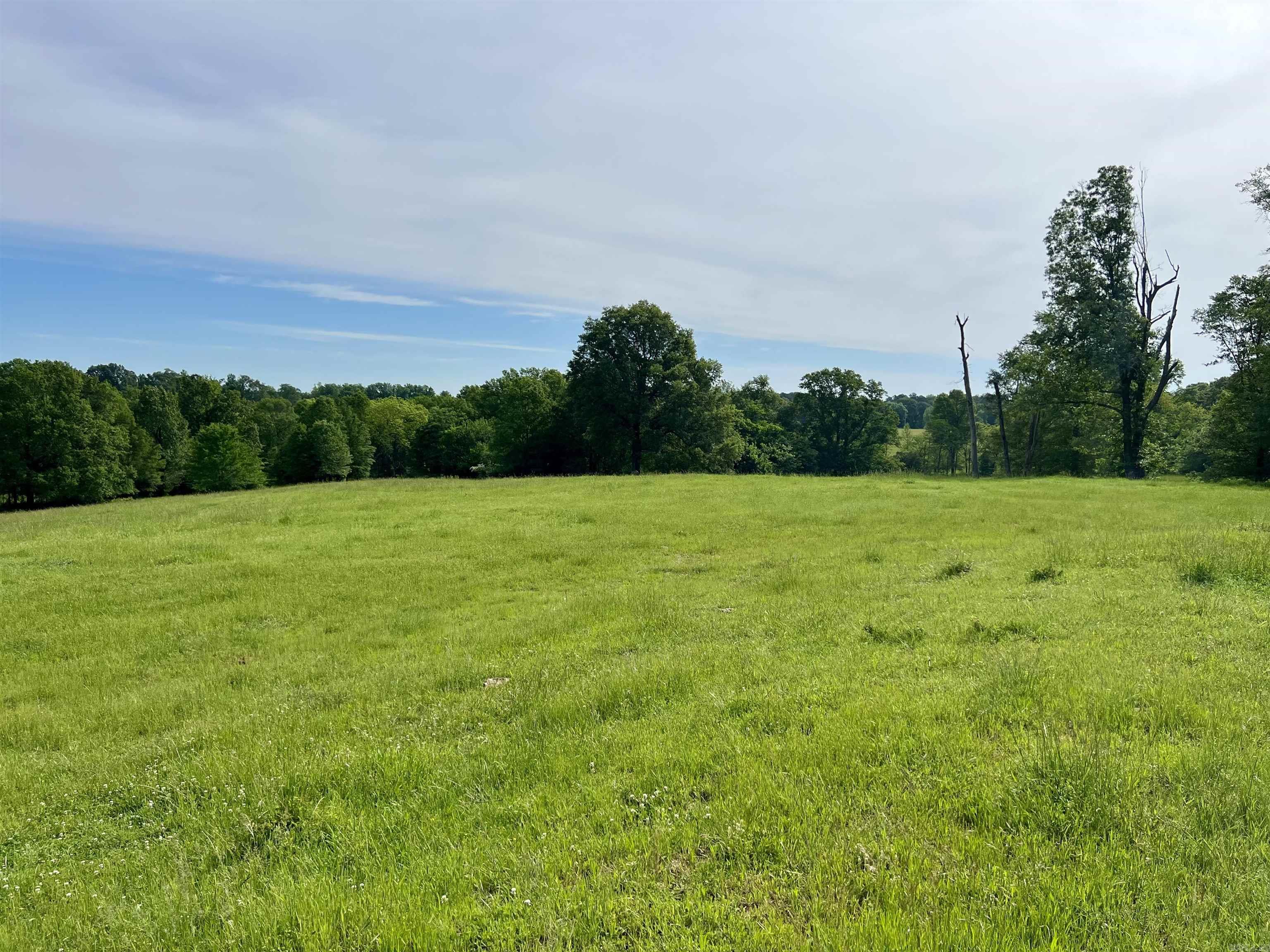 279 county road 342  Jonesboro, AR