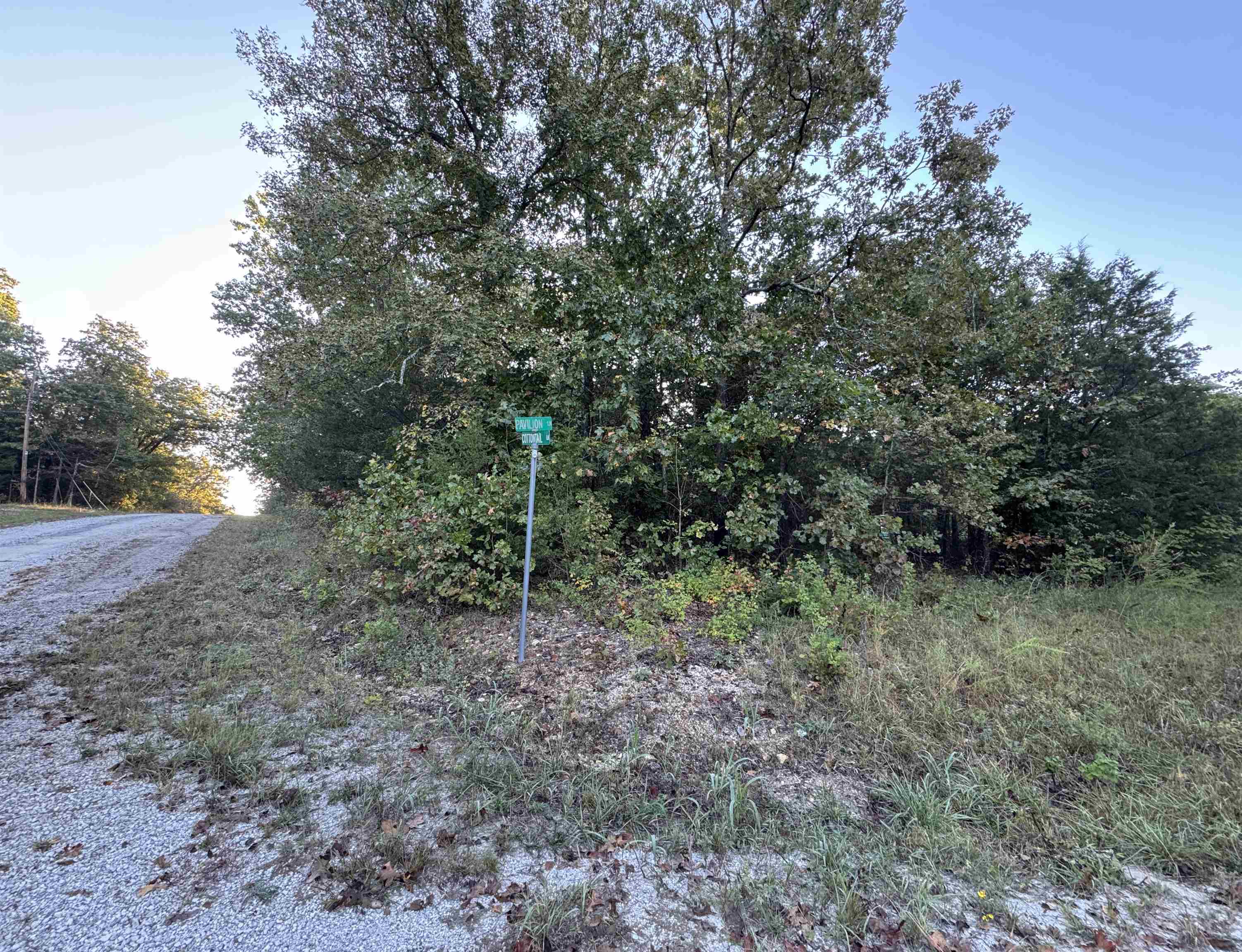 1201 Orchard Lane  Horseshoe Bend, AR