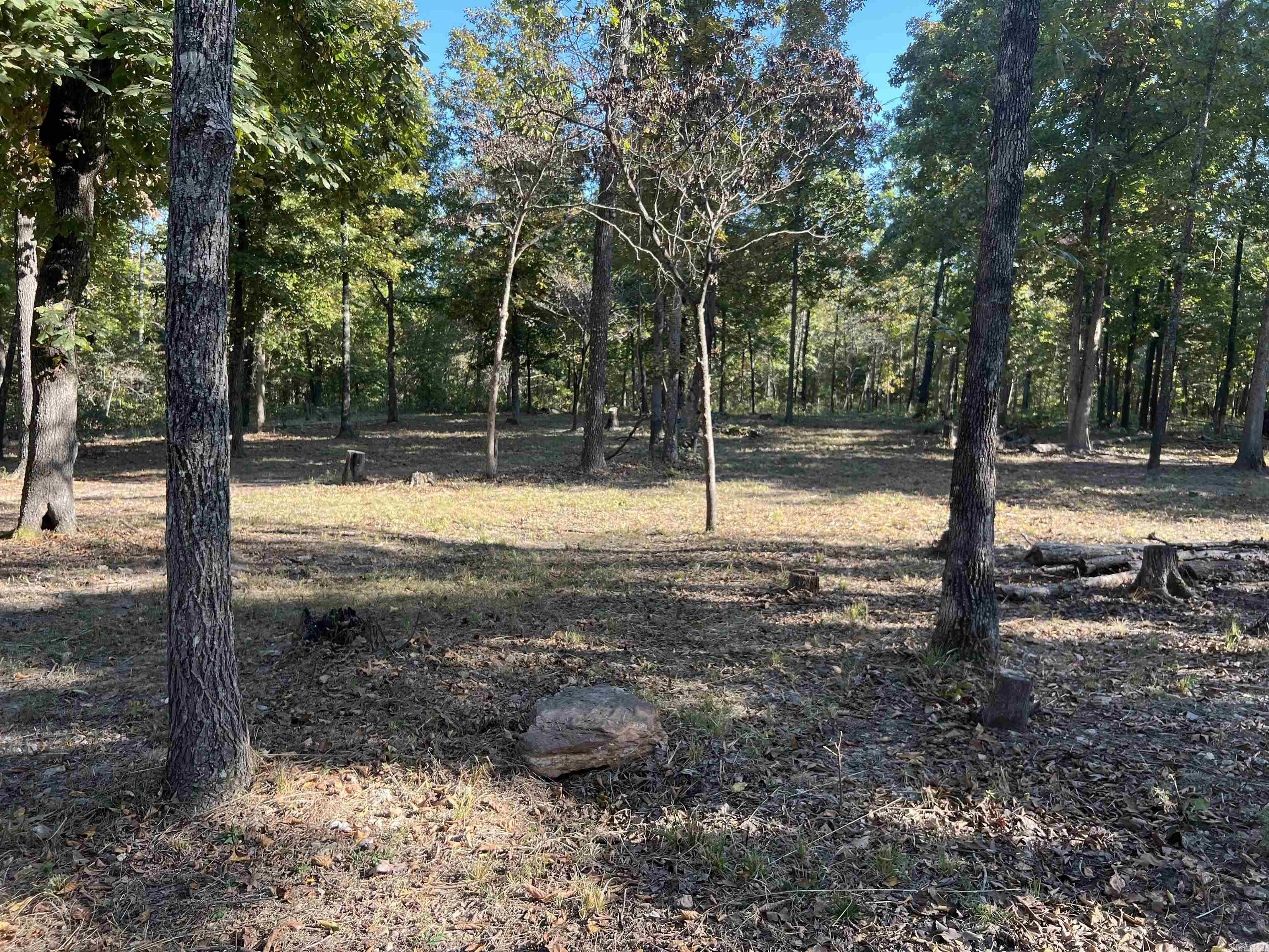 917 Foxfield Road  Mammoth Spring, AR