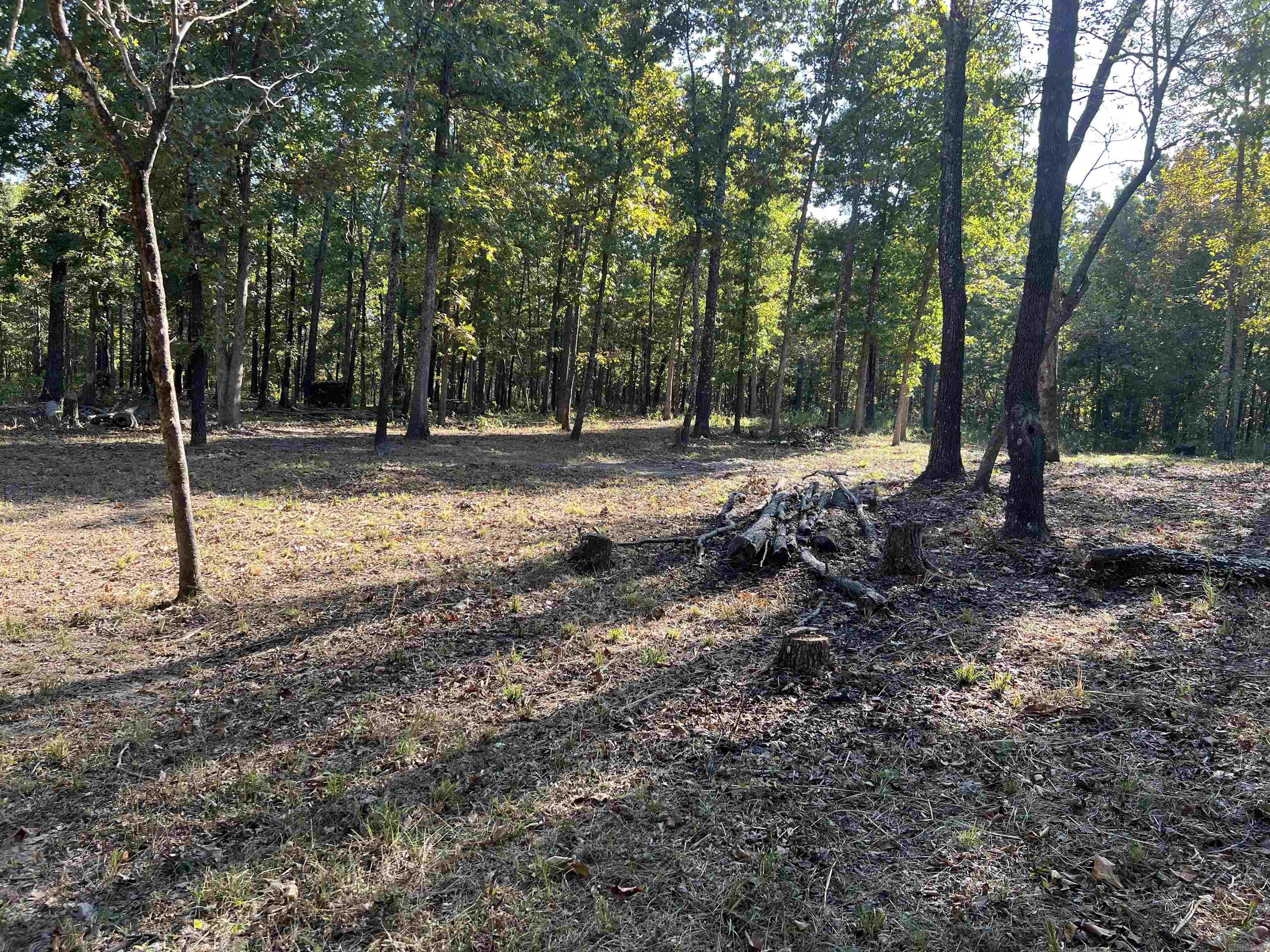 917 Foxfield Road  Mammoth Spring, AR