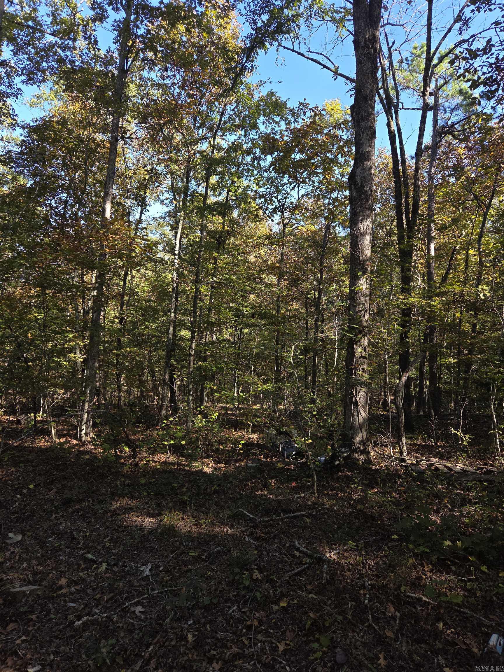 0 Karen  Dennard, AR