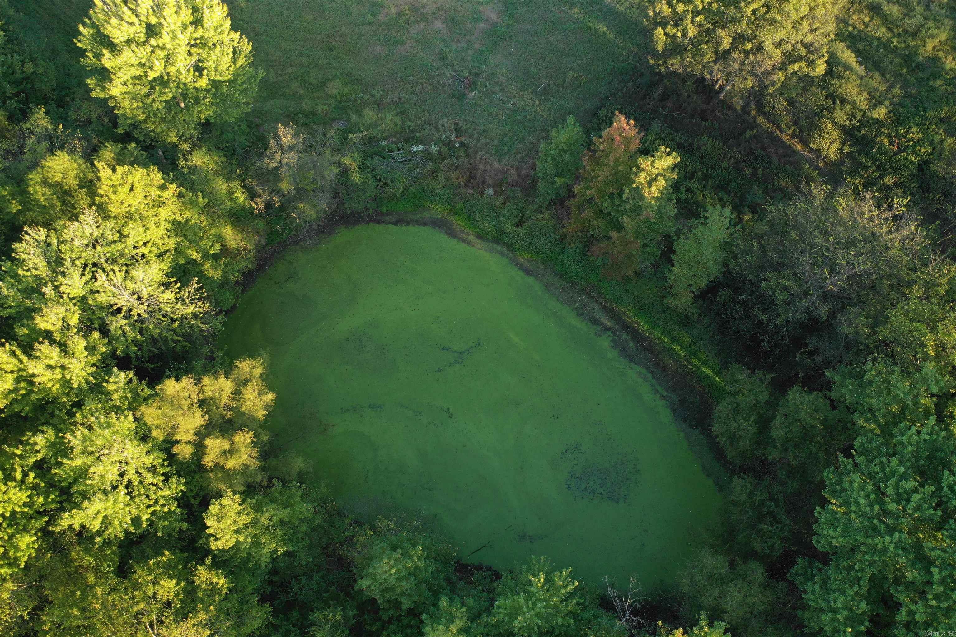 7890 Batesville Blvd  Pleasant Plains, AR