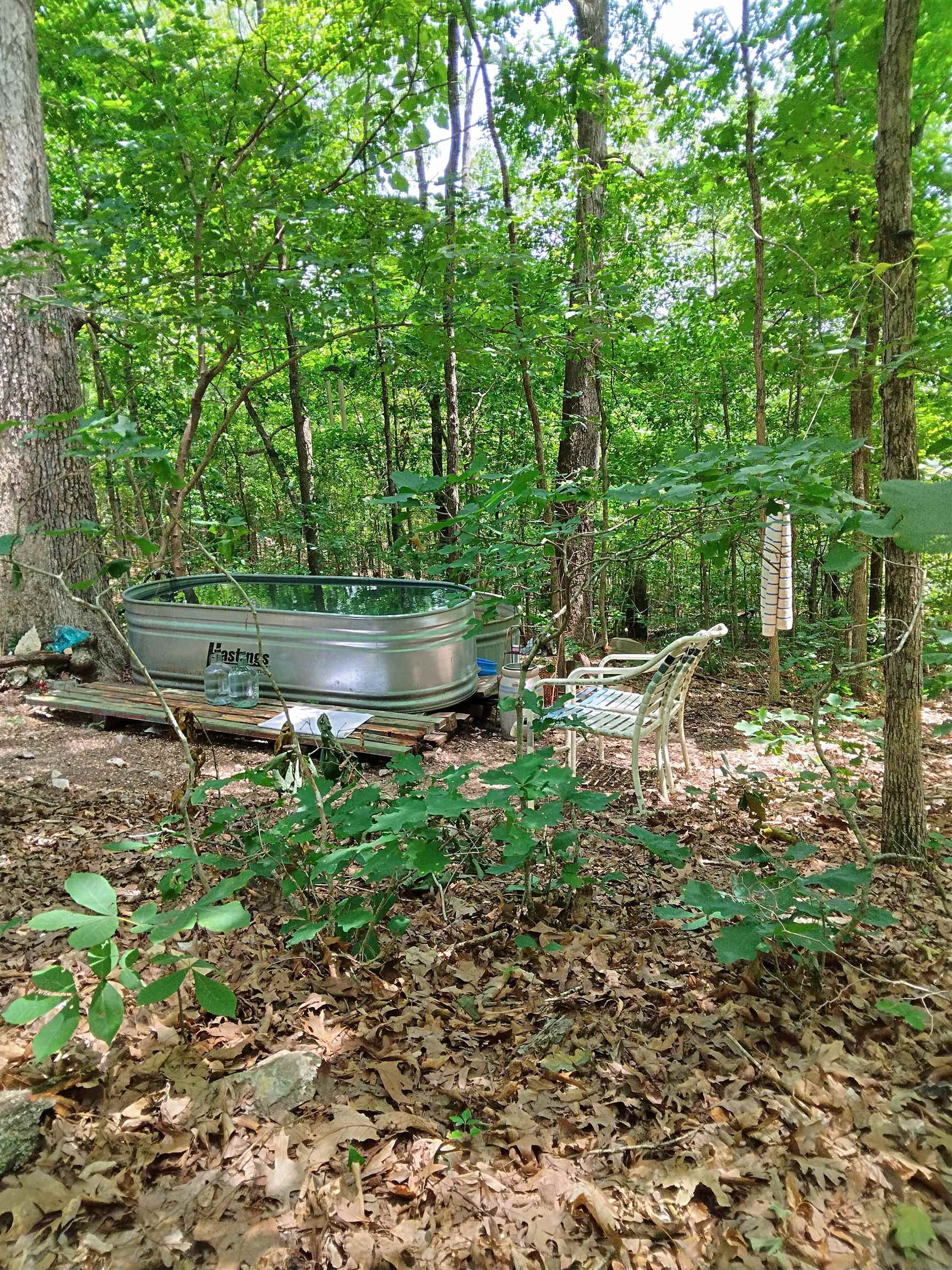 8329 Nine Mile Ridge Road  Hardy, AR