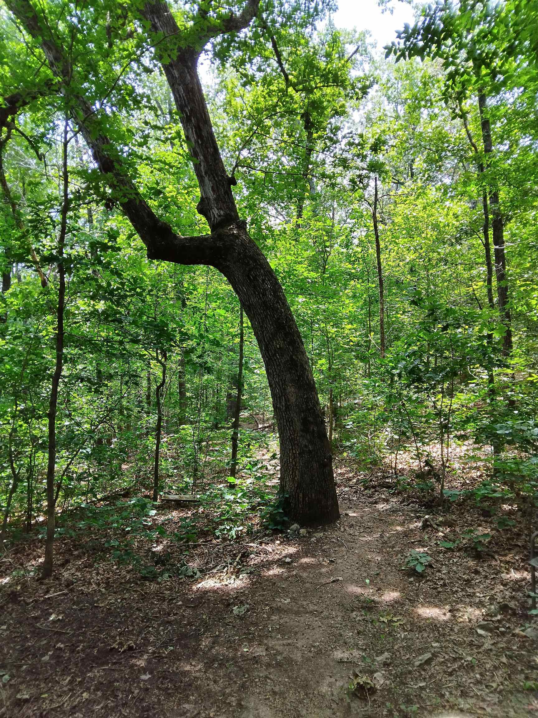 8329 Nine Mile Ridge Road  Hardy, AR