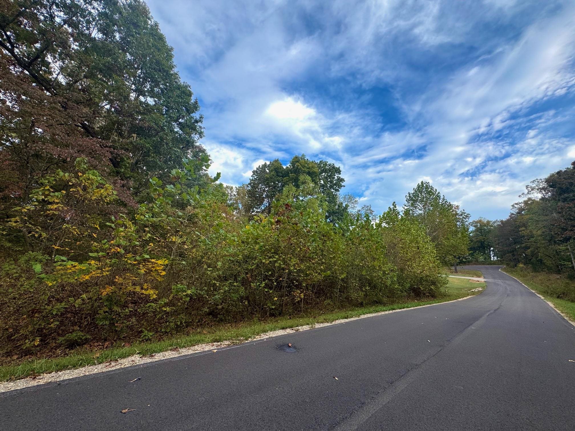 Lot 29 Goodwin Cove Lot 29, Goodwin Cove, Secluded Estates Ash Flat, AR