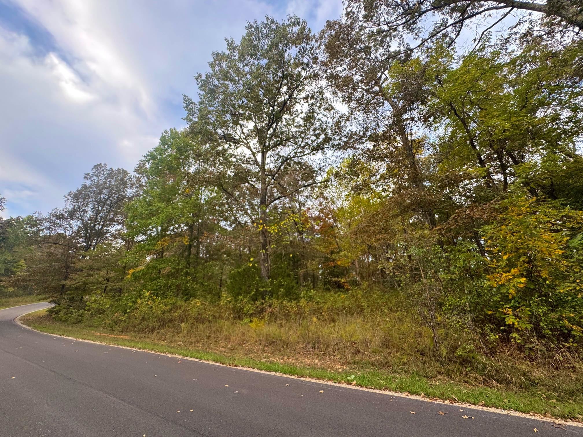 Lot 29 Goodwin Cove Lot 29, Goodwin Cove, Secluded Estates Ash Flat, AR