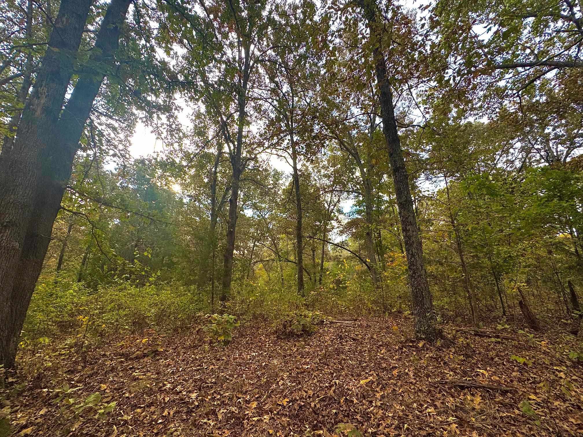 Lot 29 Goodwin Cove Lot 29, Goodwin Cove, Secluded Estates Ash Flat, AR